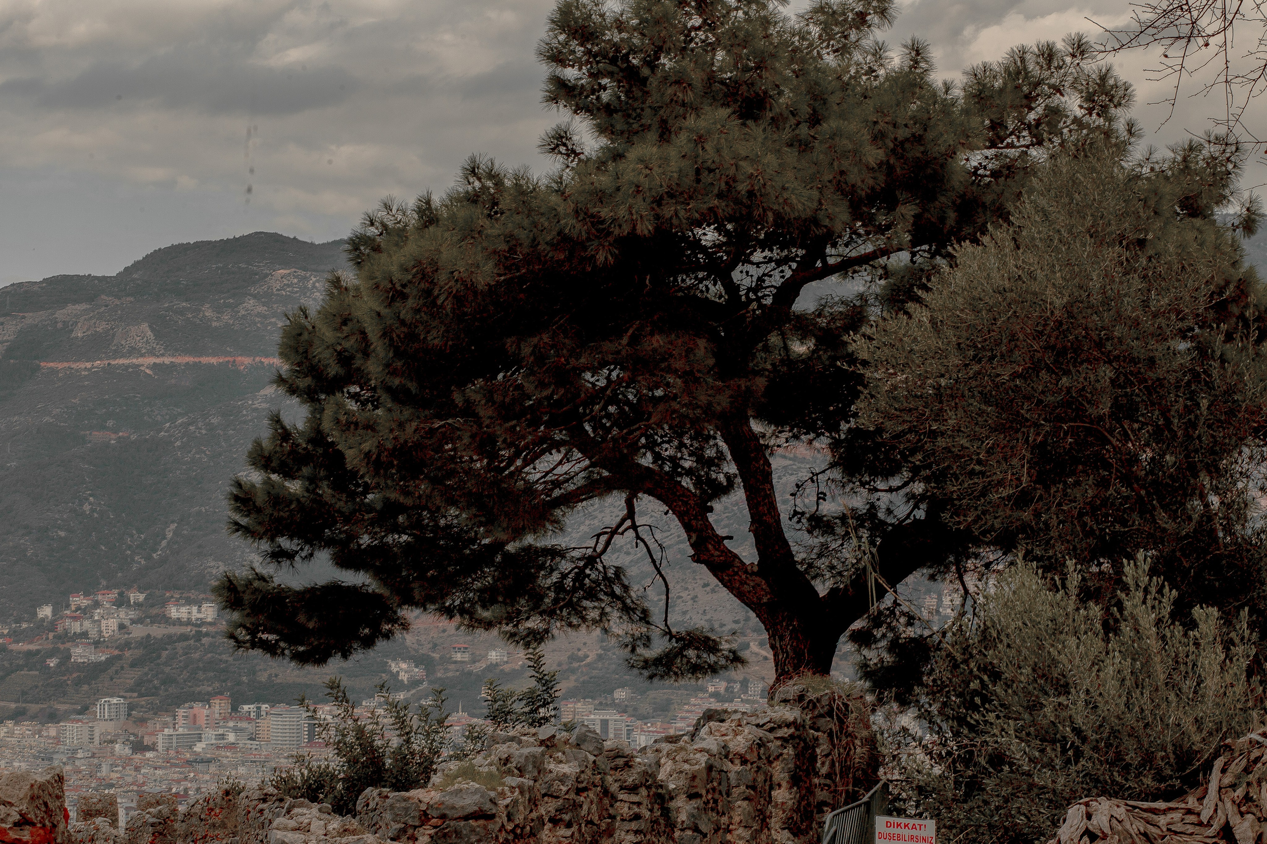 Turkey, Alanya. Art Photographer