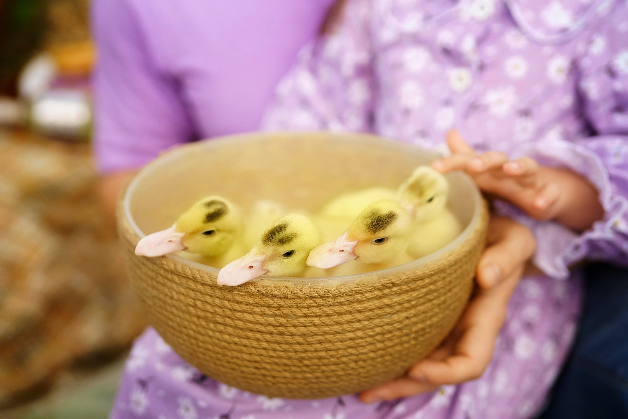 . Фотограф в Москве и Одинцово