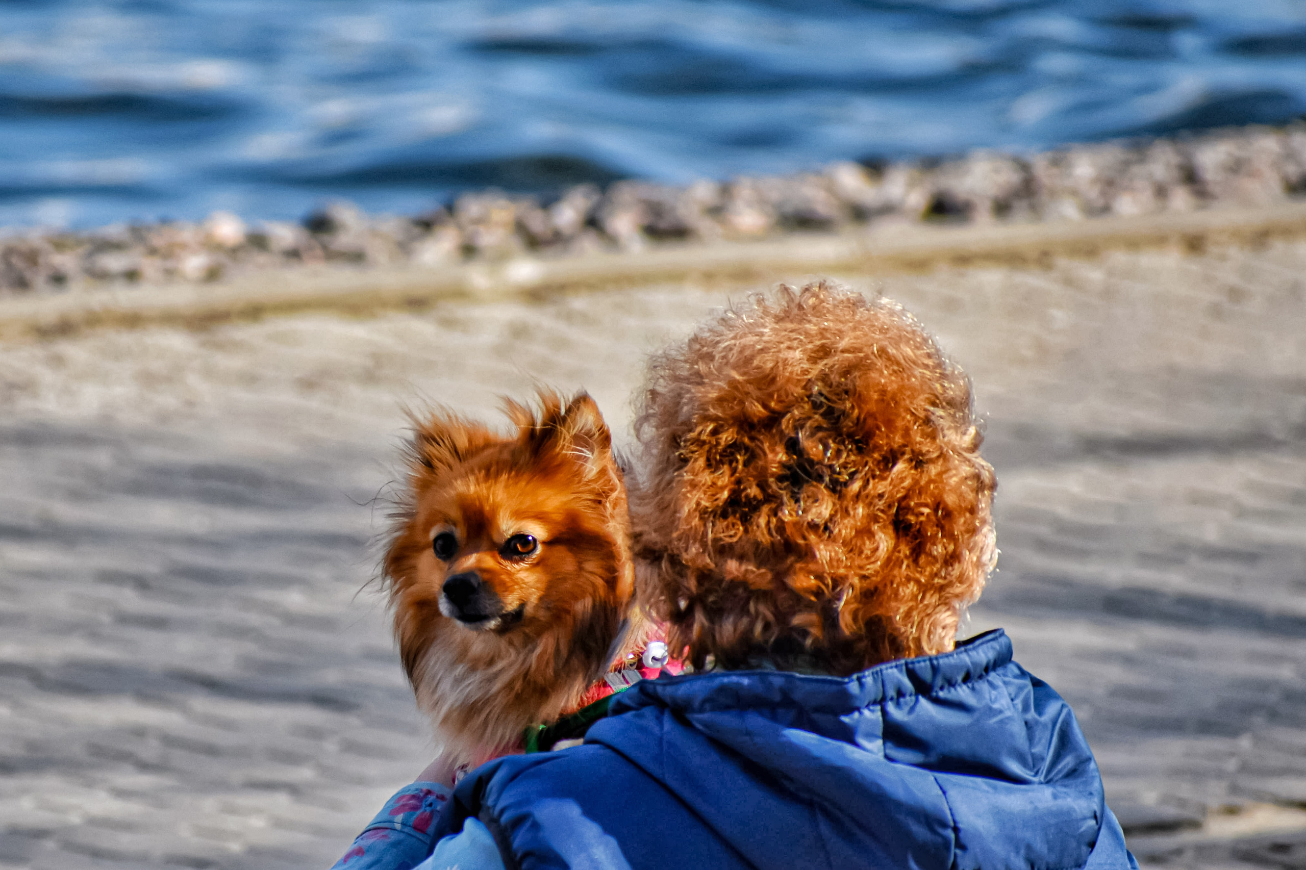 Фотограф в Москве, фотожурналист Александр Малахов
