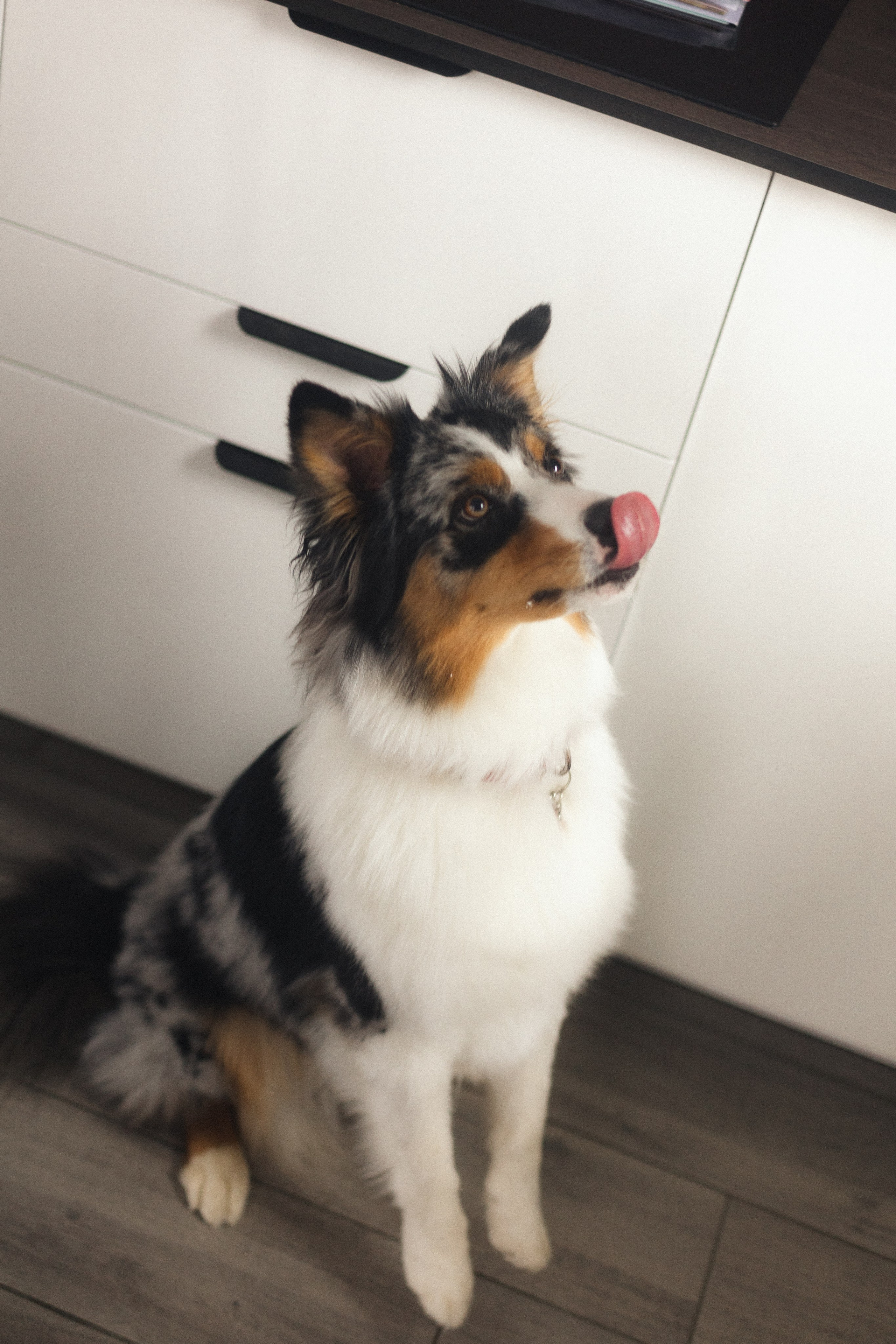 Появление брата. Фотограф из Петербурга