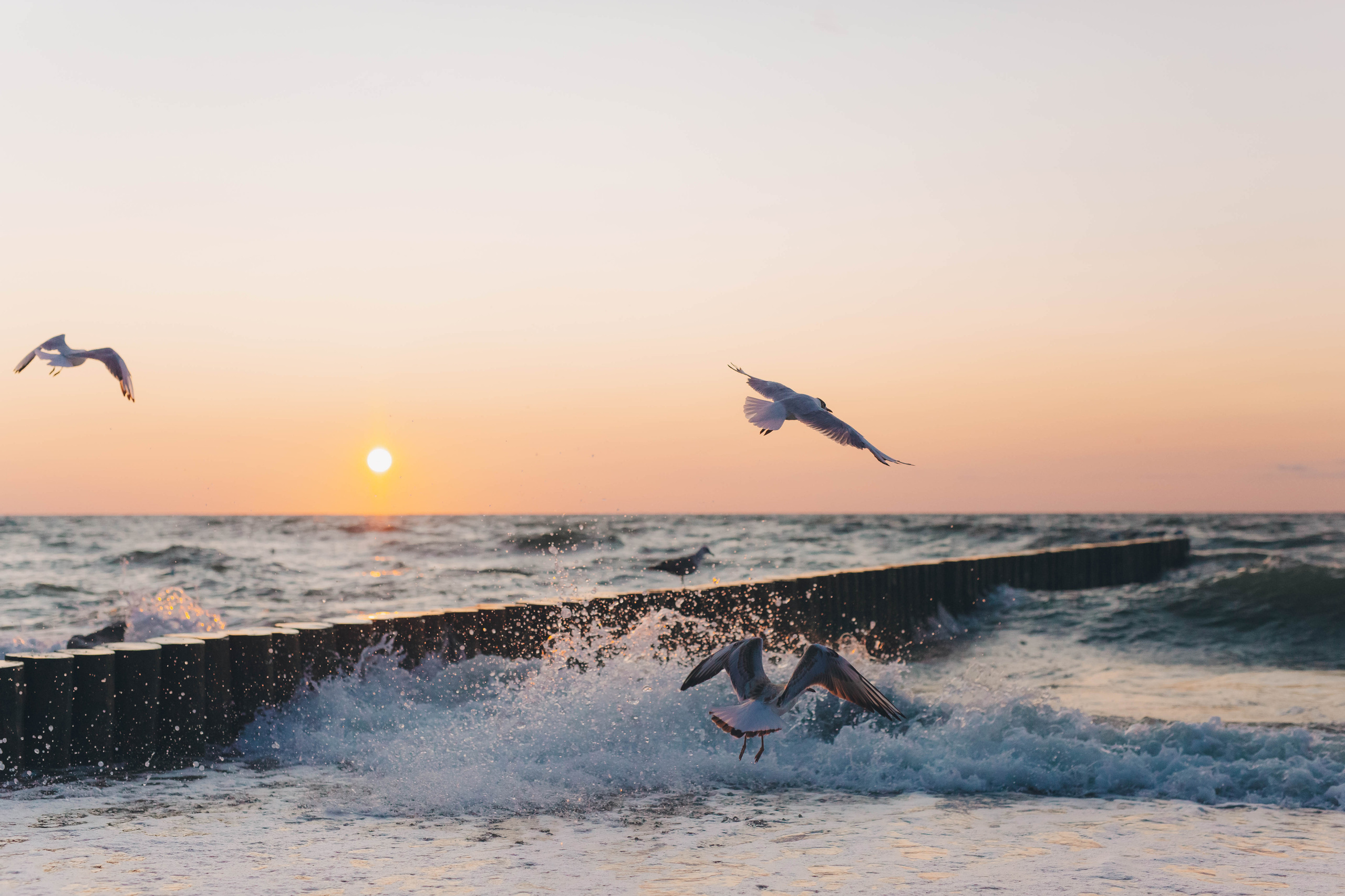 Отзывы фотограф Зеленоградск. Фотограф Зеленоградск Красильникова Елена