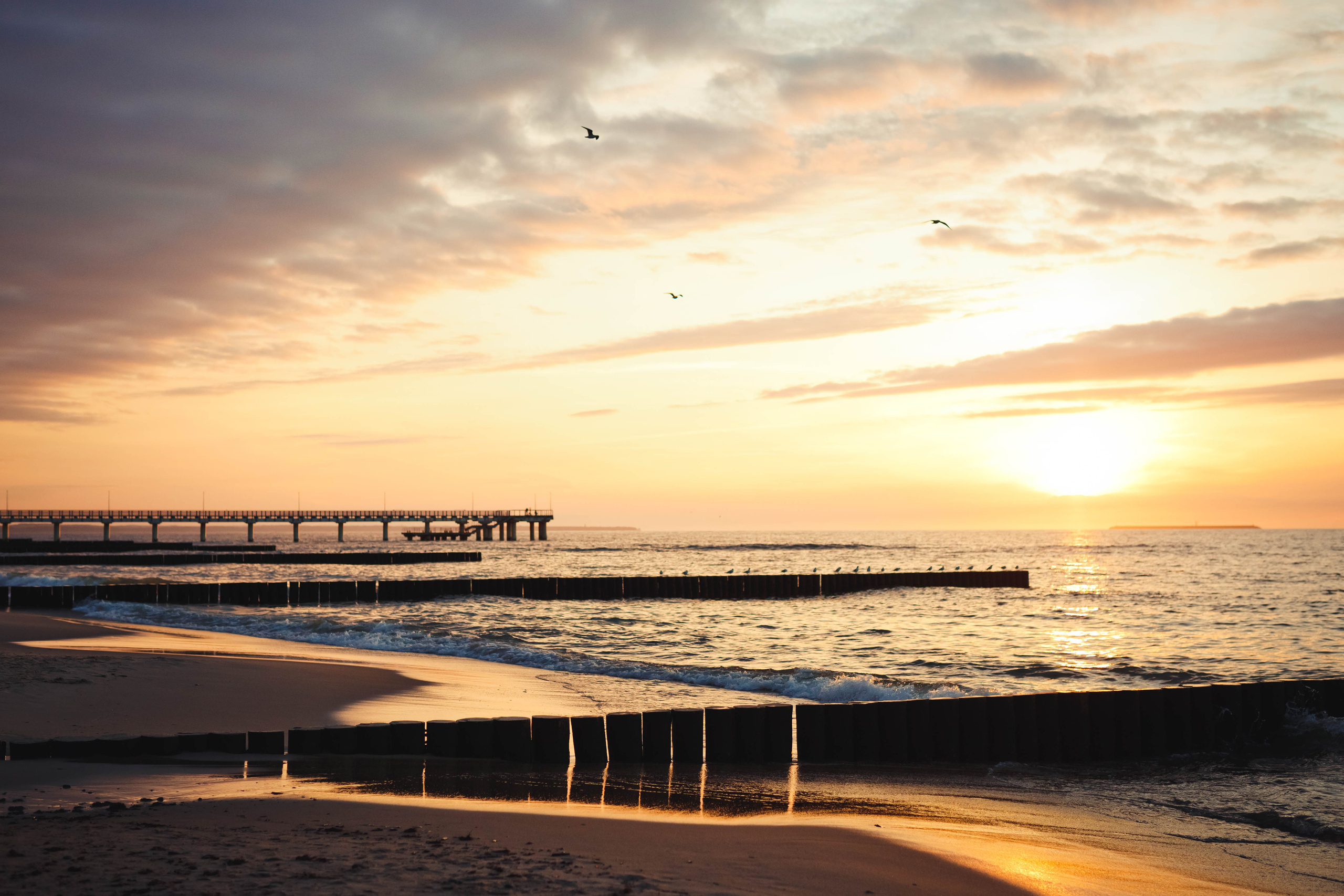 Портрет. Фотограф Зеленоградск Красильникова Елена