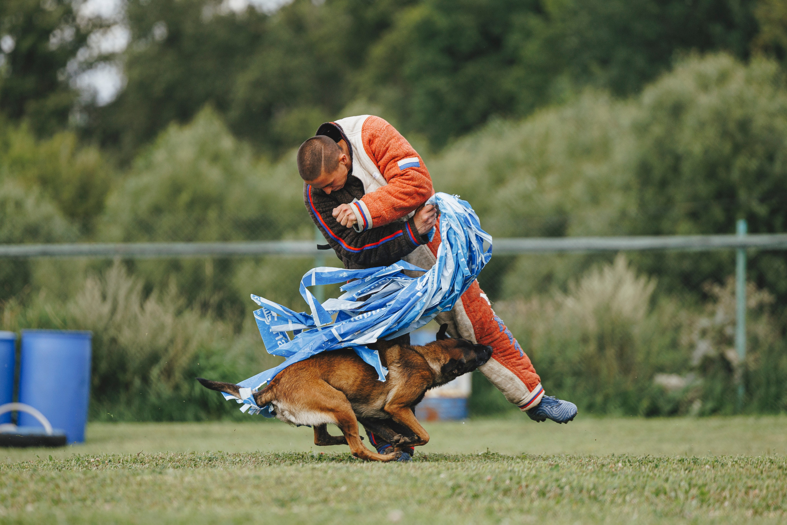 08.08.25-10.08.25 ЧР по мондьорингу г. Вологда. Фотограф-анималист Анна Маринич
