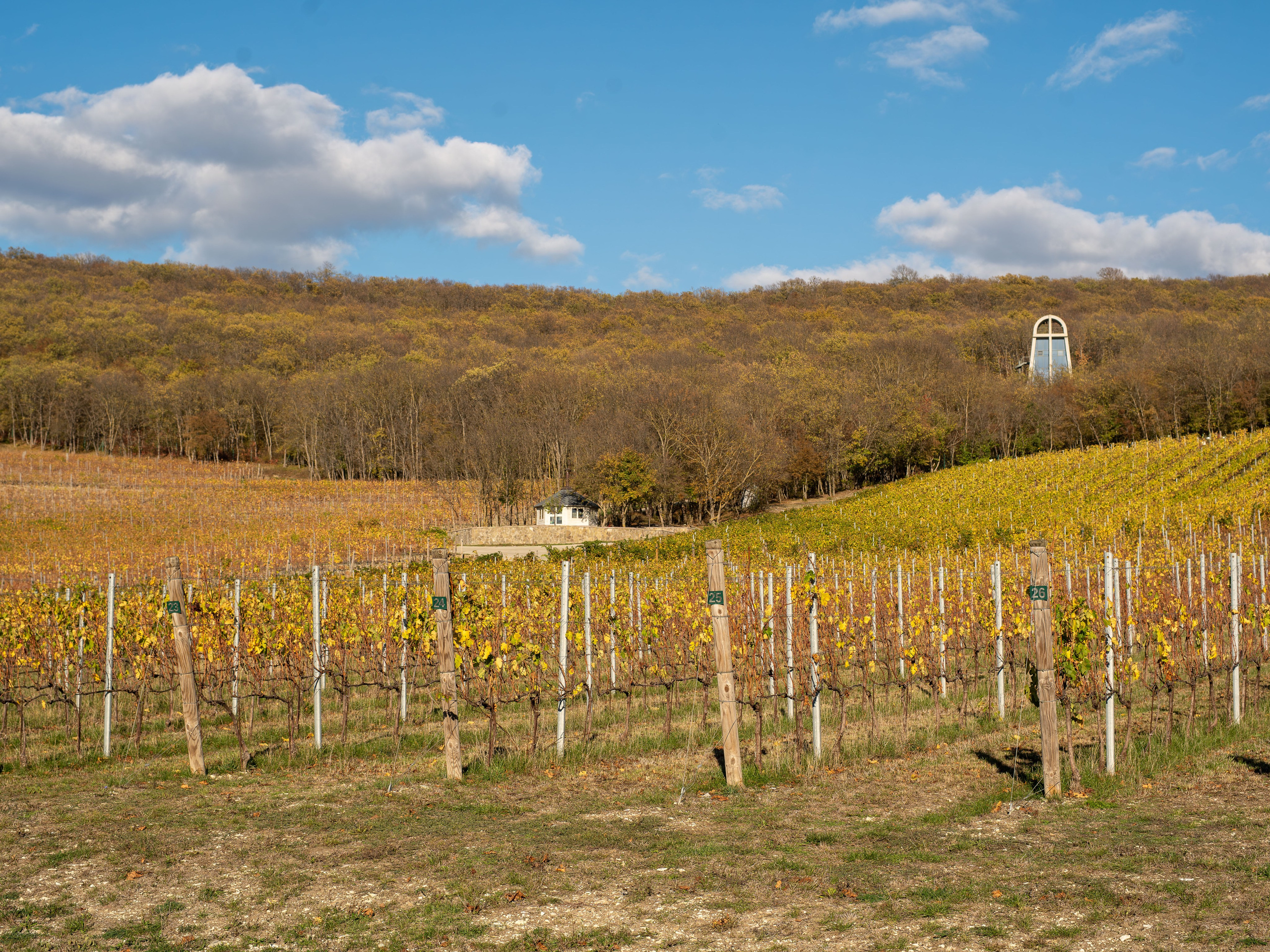 Литературная мастерская с Ольгой Шутовой в «Винотеррии». Репортажный фотограф в Красной Поляне и Сочи Павлюченко Екатерина