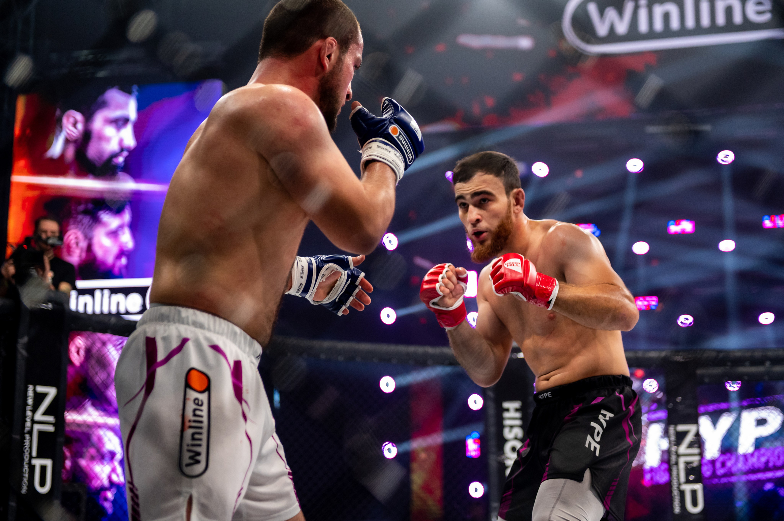 Бои. Репортажный фотограф в Красной Поляне и Сочи Павлюченко Екатерина