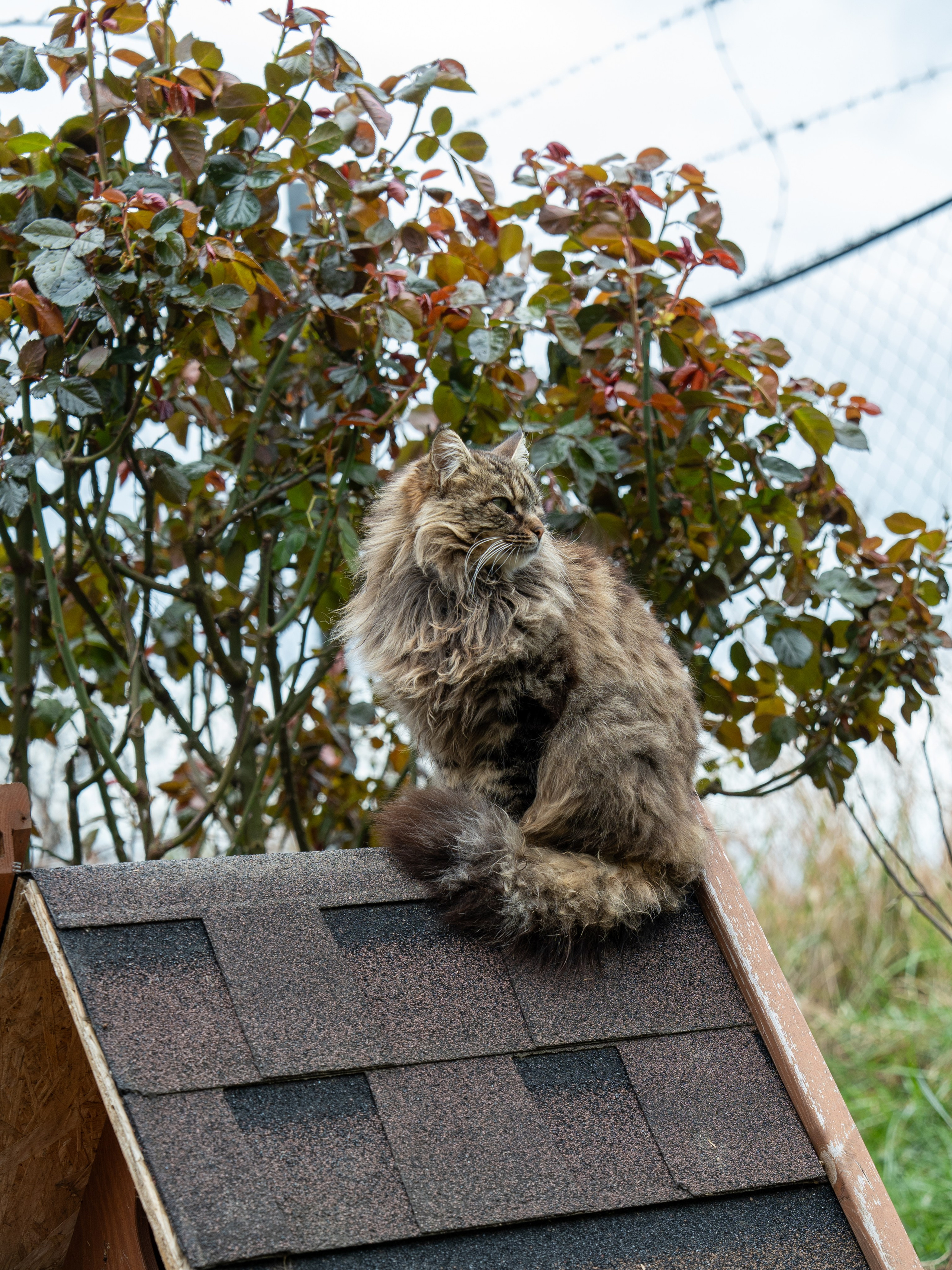 MICE мероприятие на ферме Экзархо. Репортажный фотограф в Красной Поляне и Сочи Павлюченко Екатерина