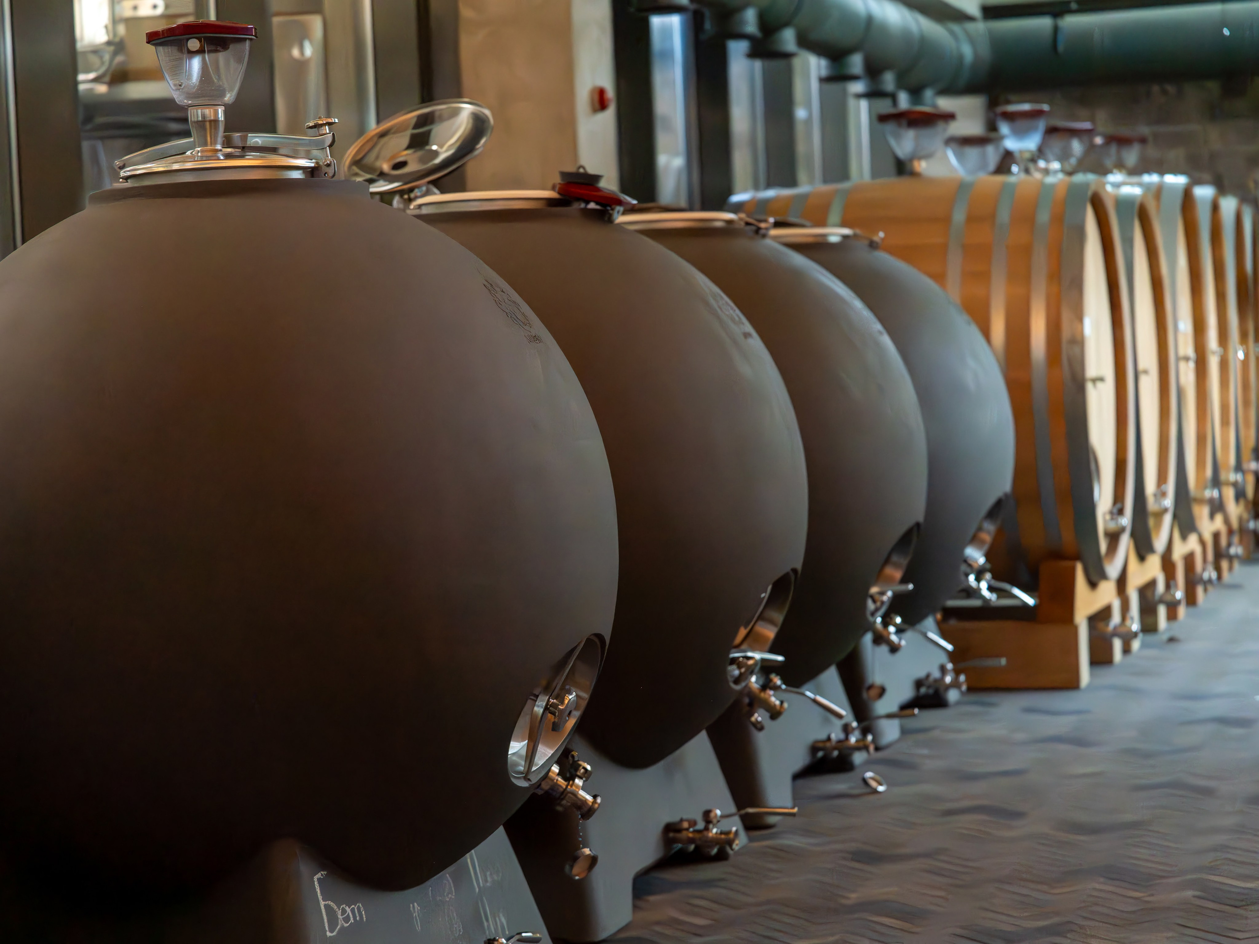 Литературная мастерская с Ольгой Шутовой в «Винотеррии». Репортажный фотограф в Красной Поляне и Сочи Павлюченко Екатерина