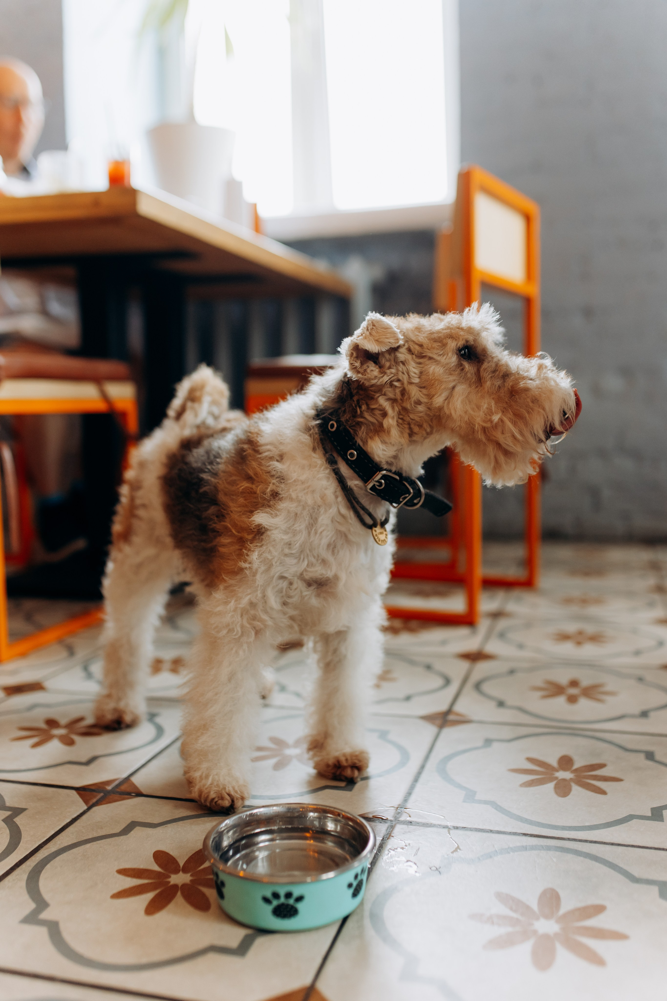 По бургеру в «Карл Маркс». Свадебный и семейный фотограф в Туле и области Маша Костина