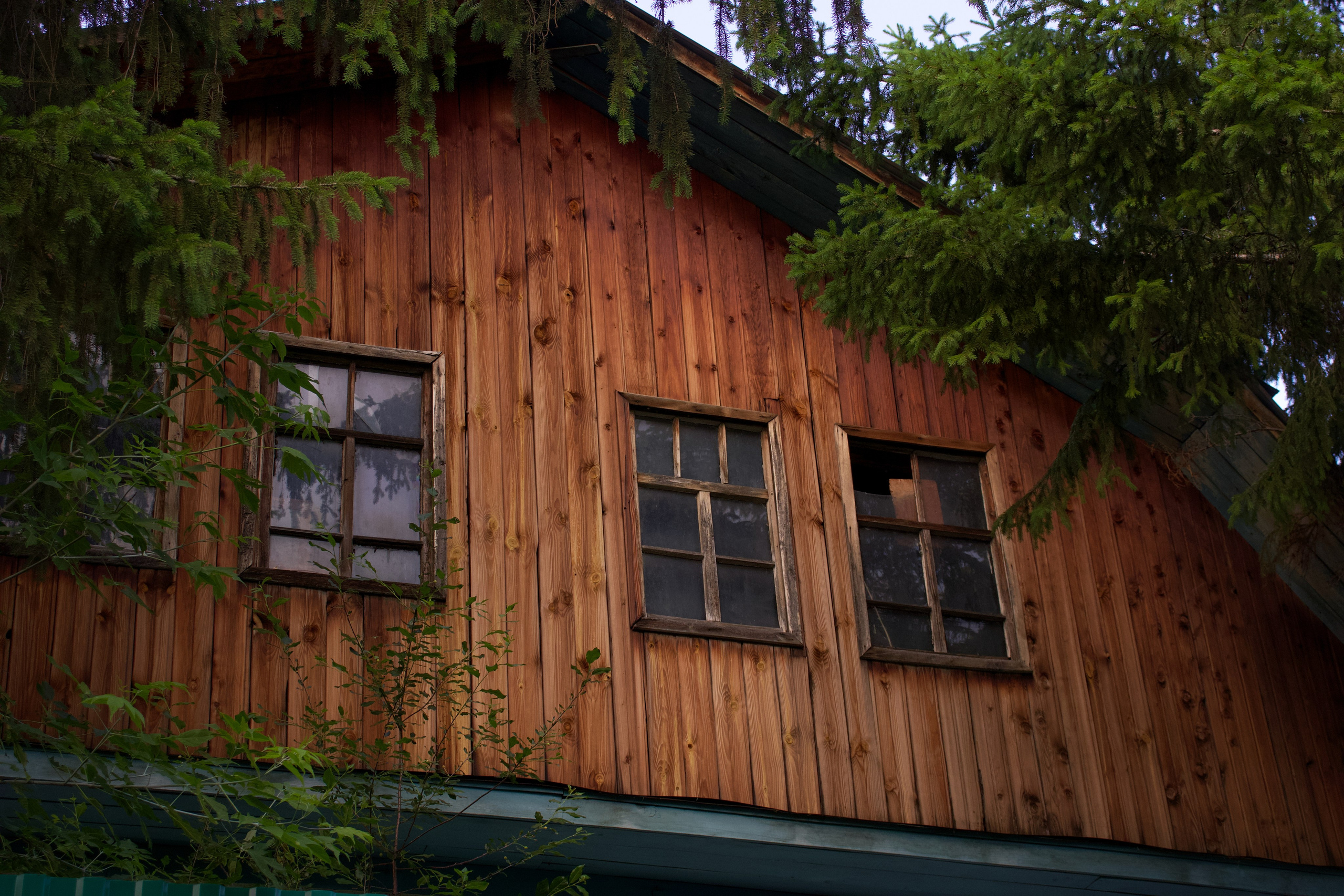 Стрит. Pupov.png