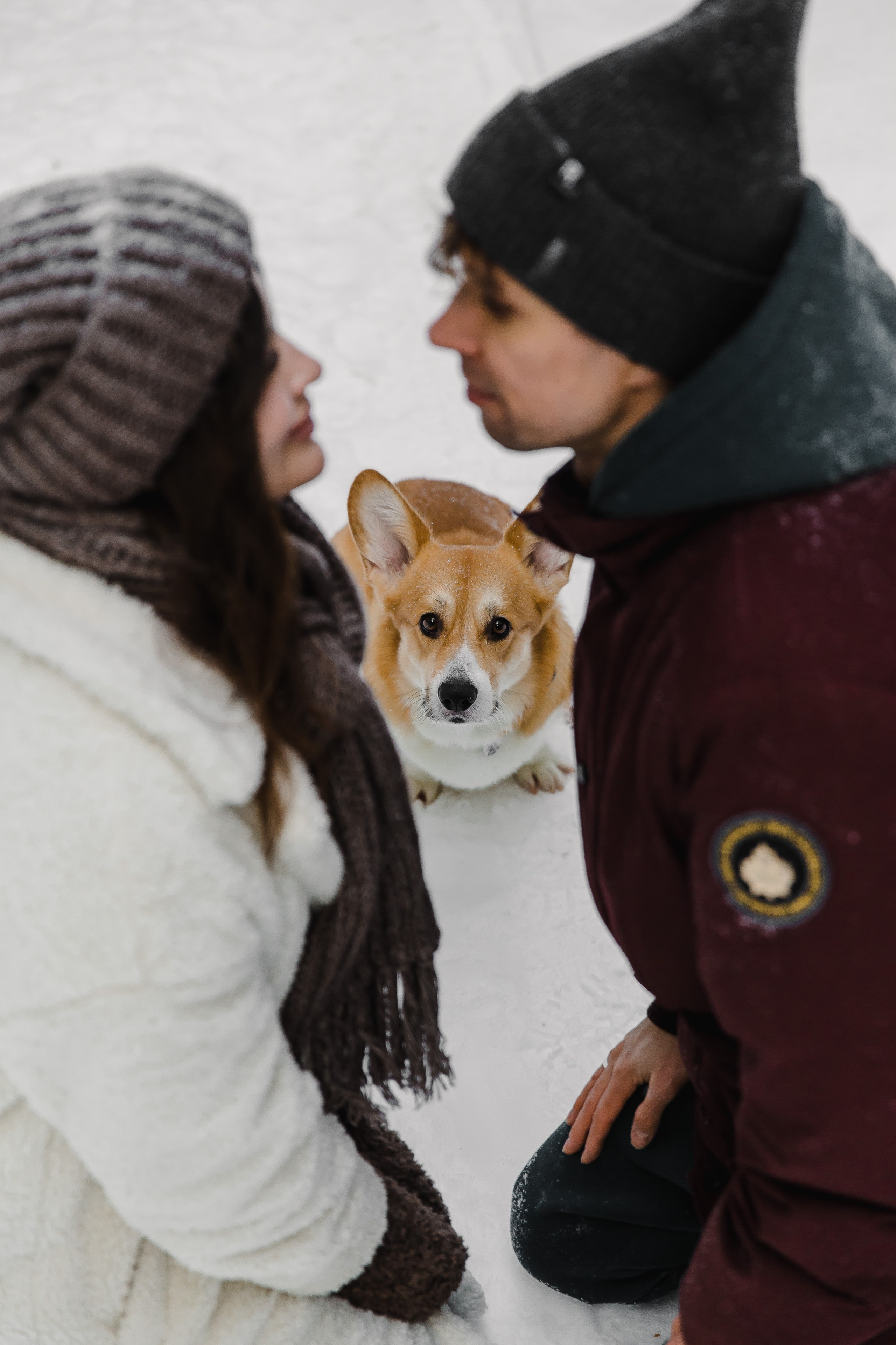 Дима и Даша. Свадебный и семейный фотограф в Томске Алексей