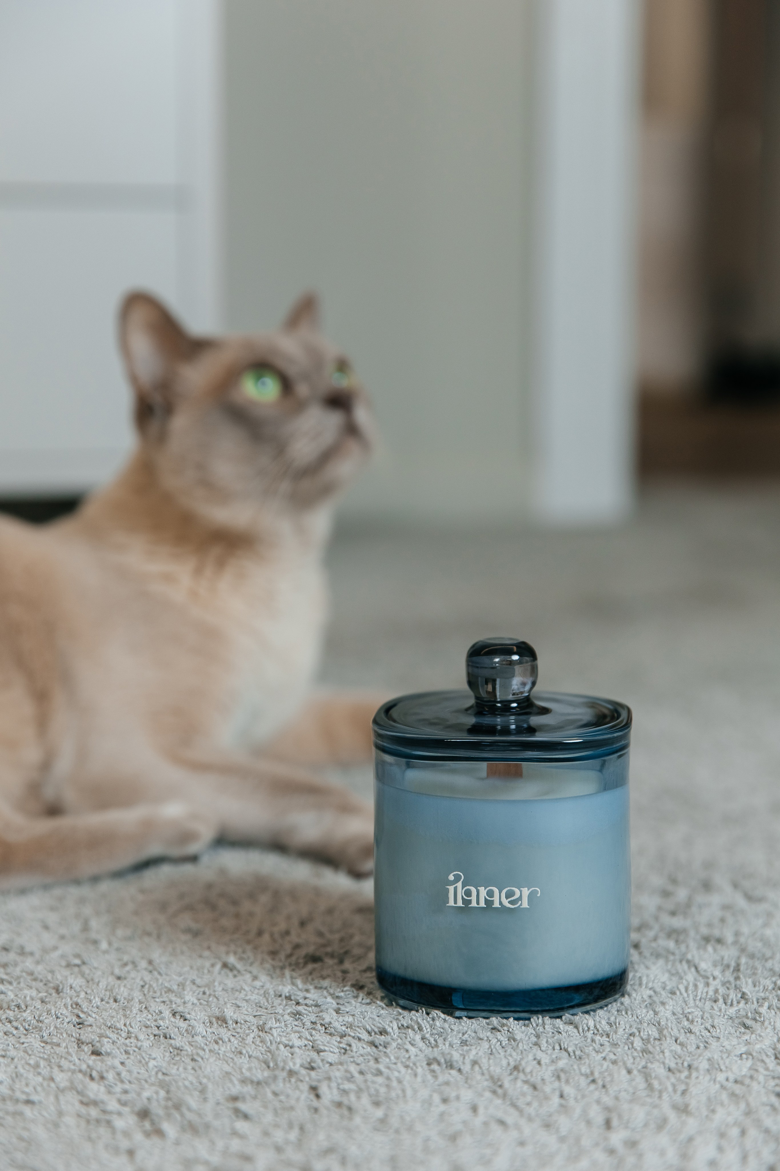 Предметная съемка. Коммерческий фотограф, ретушёр Анастасия Пачина