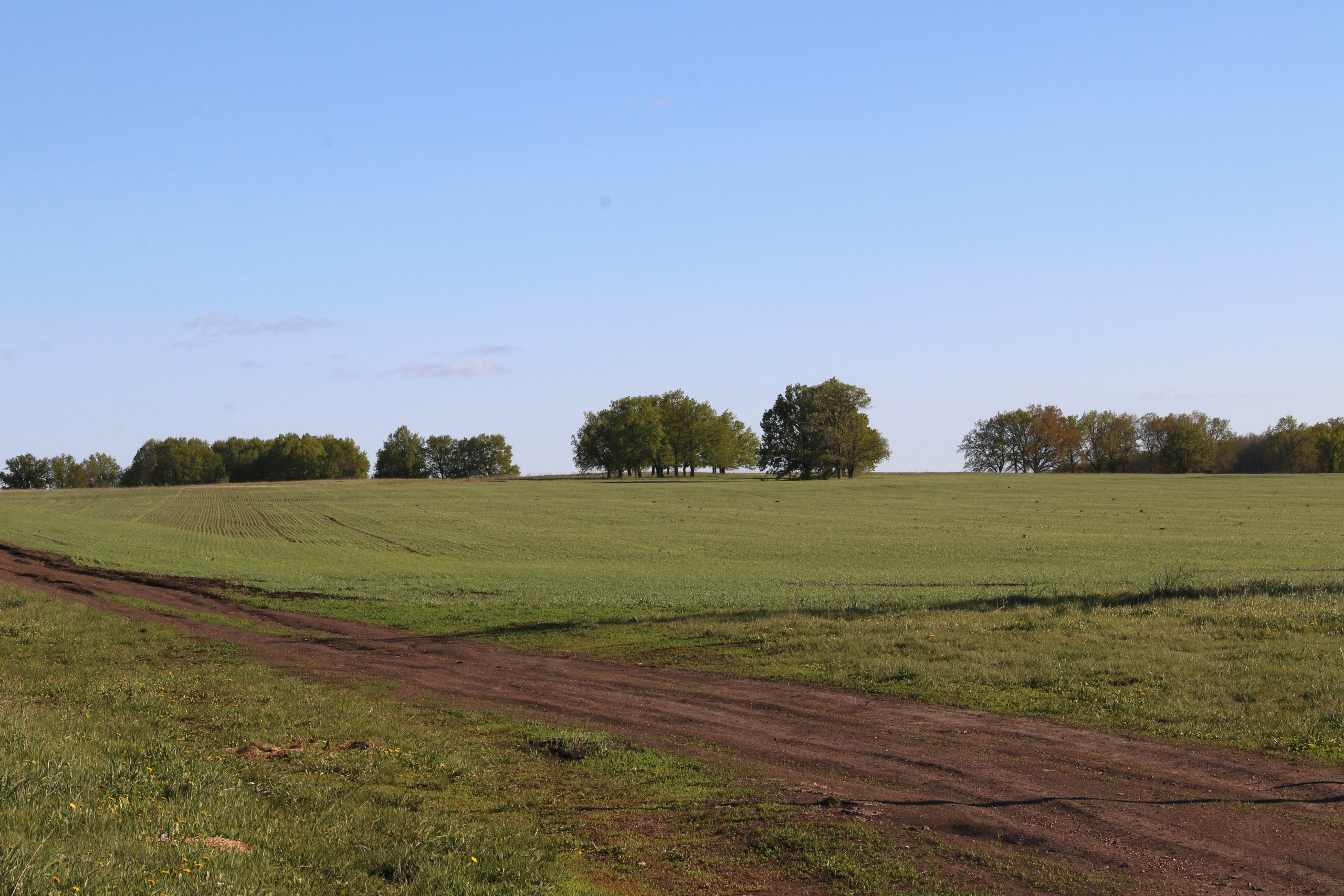 Велопоход Уфа — Мелеуз. Май 2024. Путешественник-фотограф из Санкт-Петербурга Татьяна Свистулина