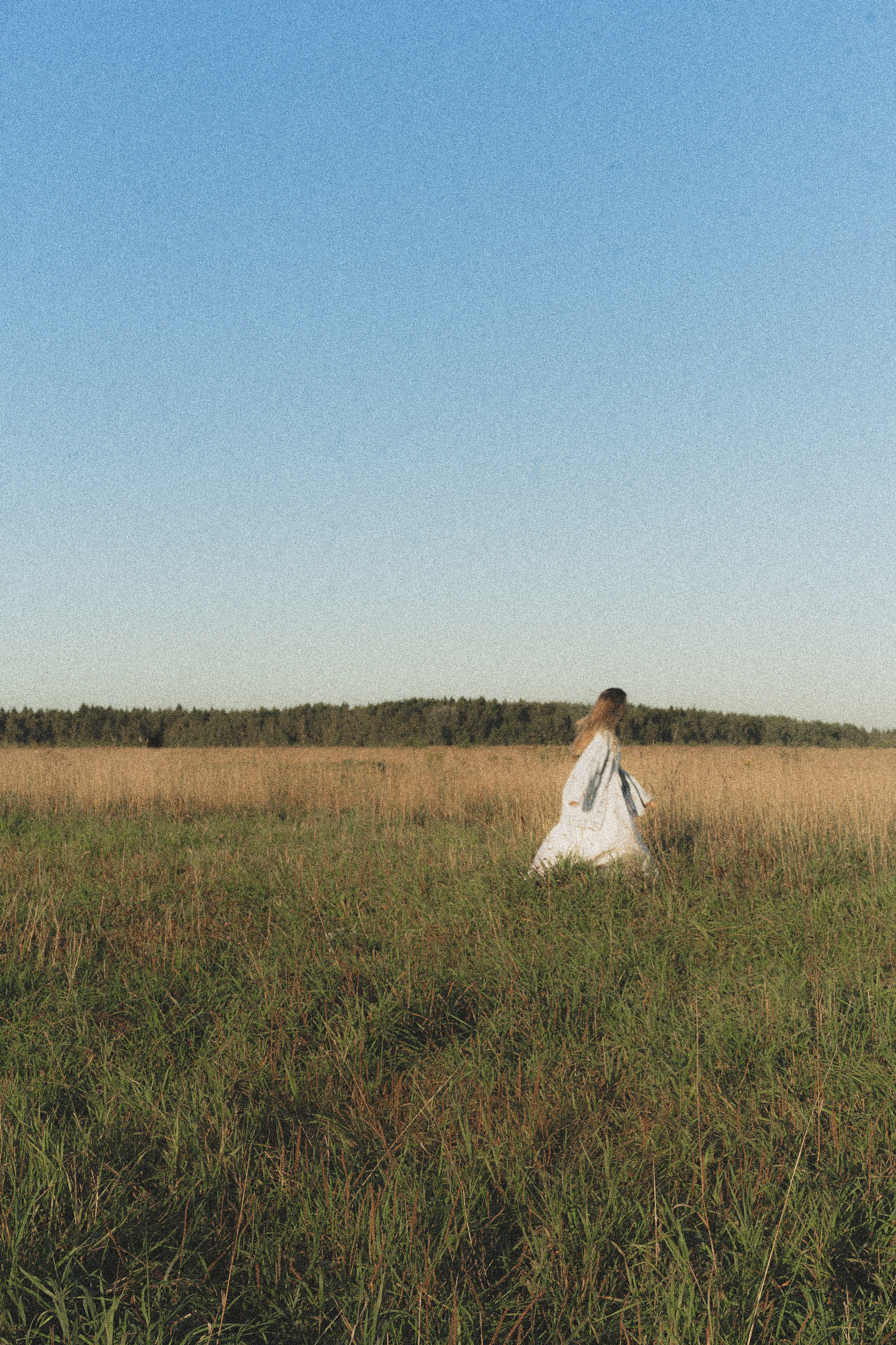 Ирис. Фотограф Милованова Александра