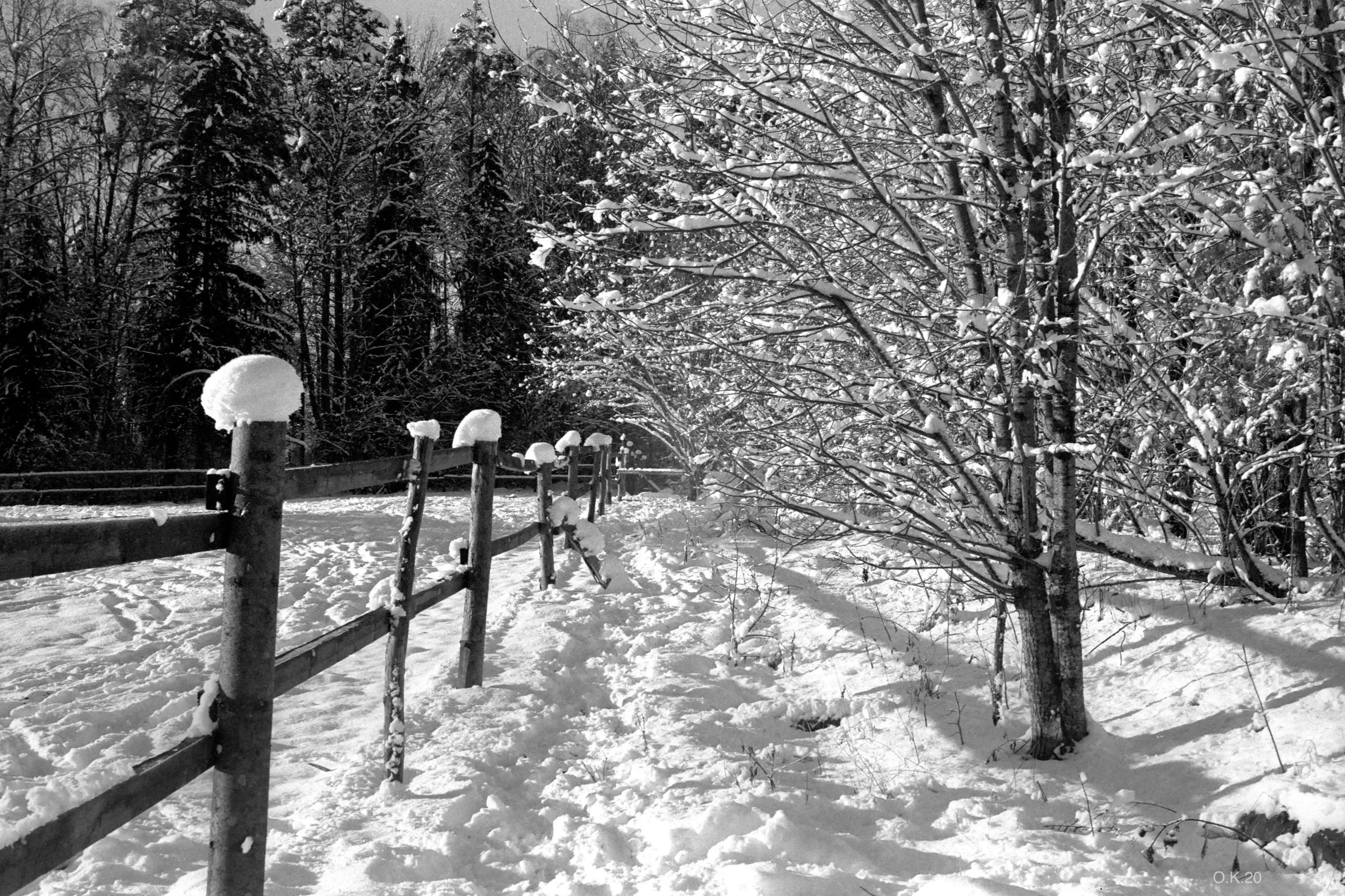 Пленочная фотография Олег Кузнецов. Artkapella|Олег Кузнецов