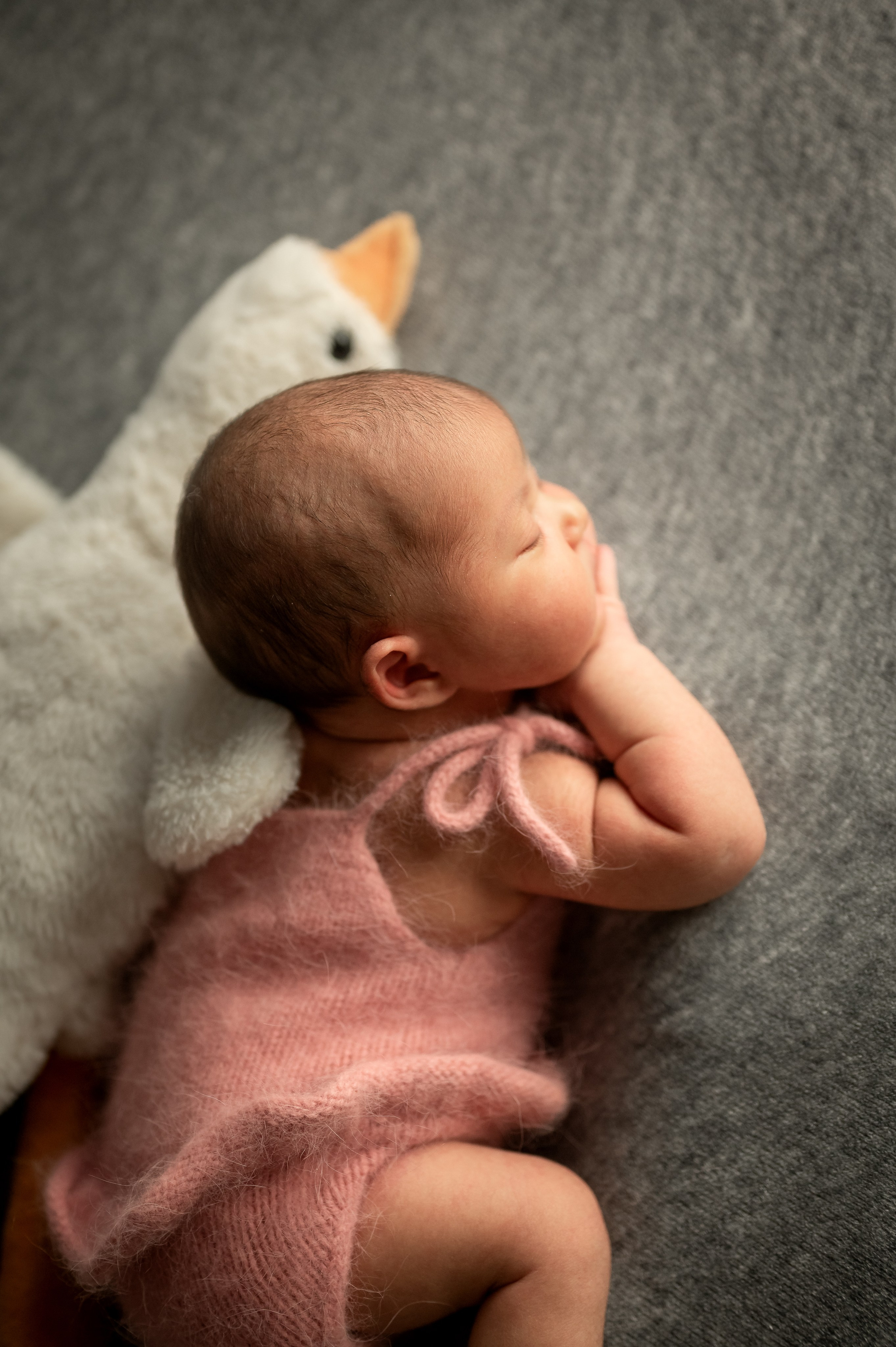 #фотосессия новорожденного. Фотограф новорождённых, семейный, школьный в городе Калуге Евгения