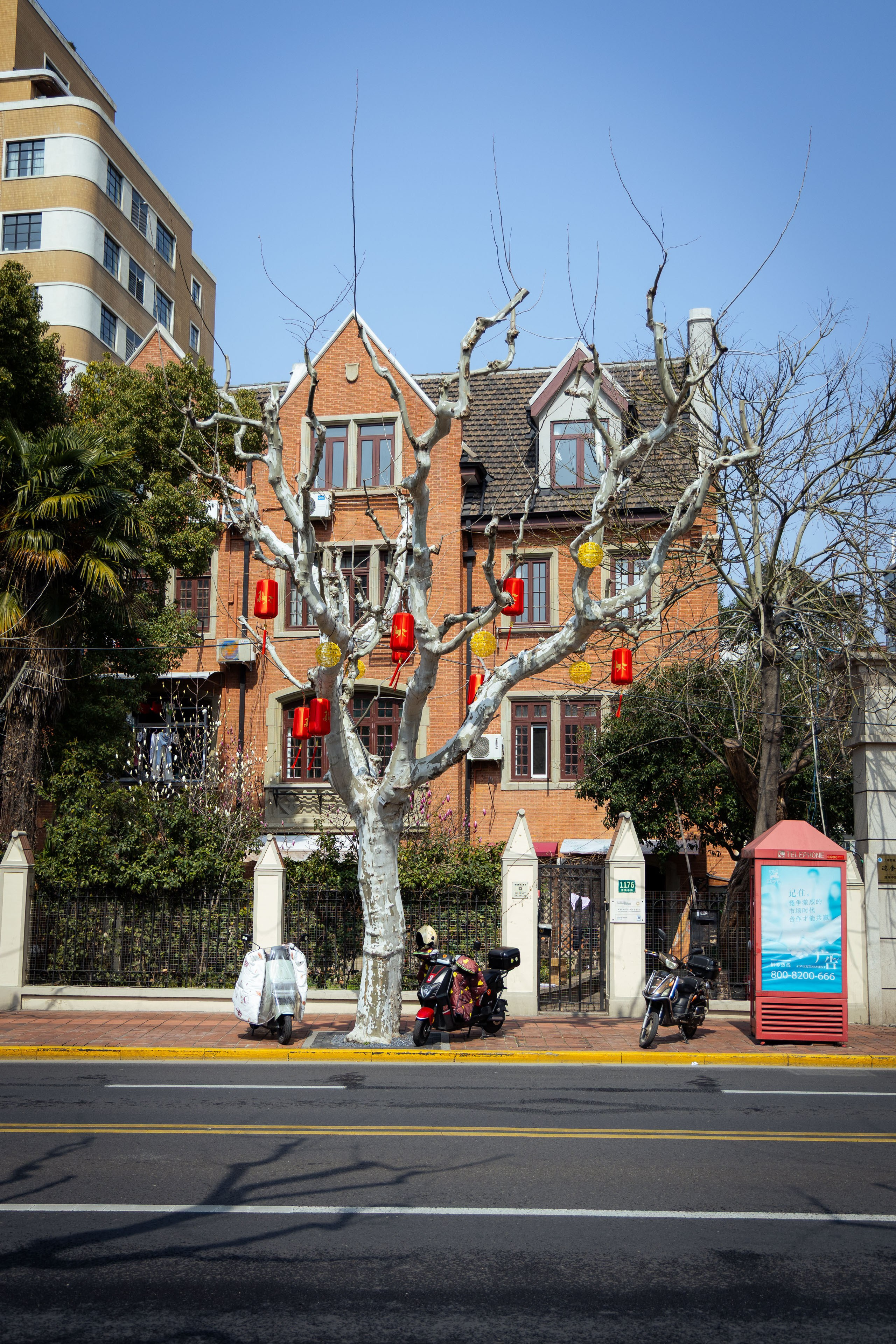 Шанхай (март 2026). Фотограф Виноградов Константин