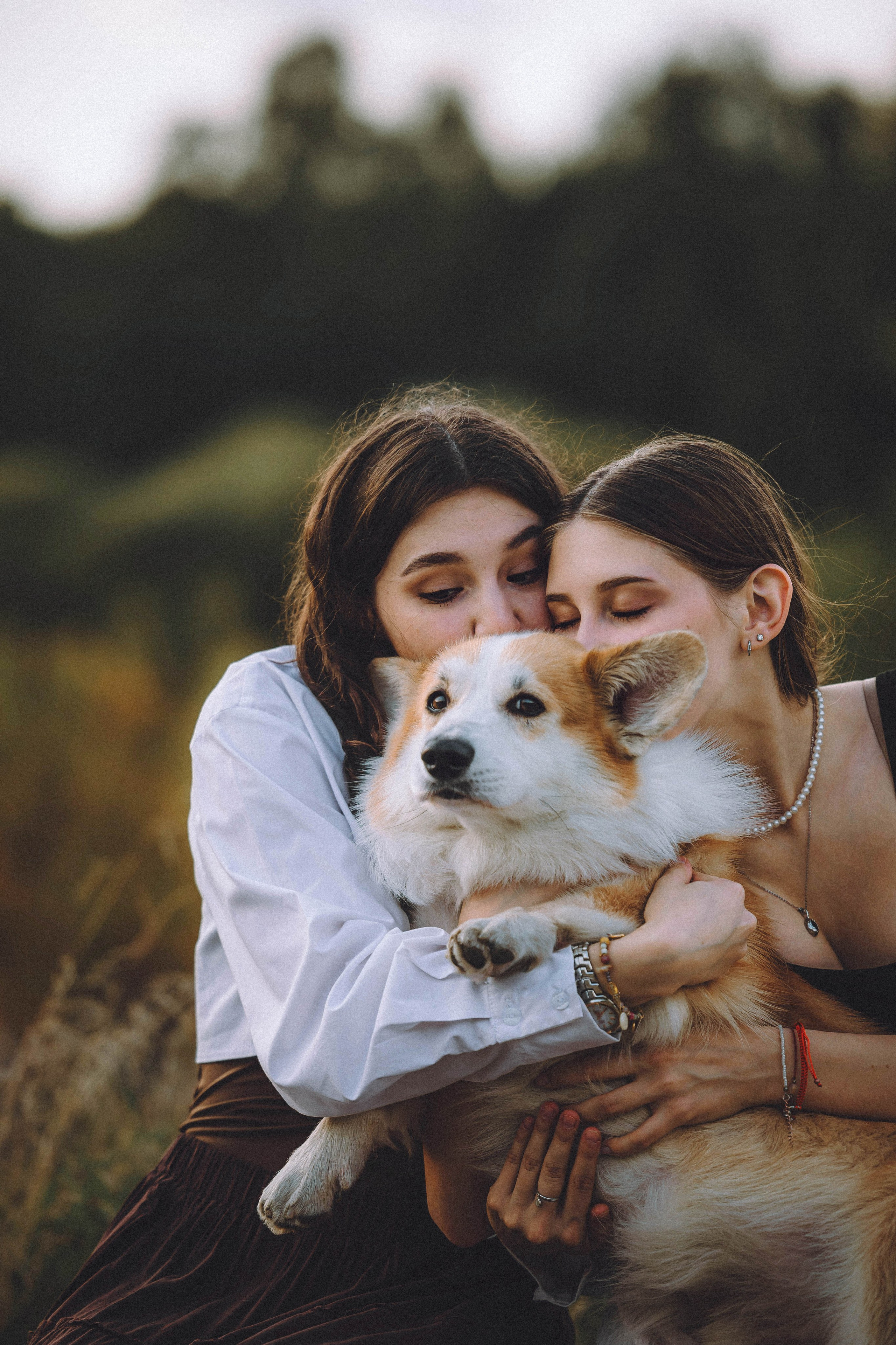 Арчи и его семья