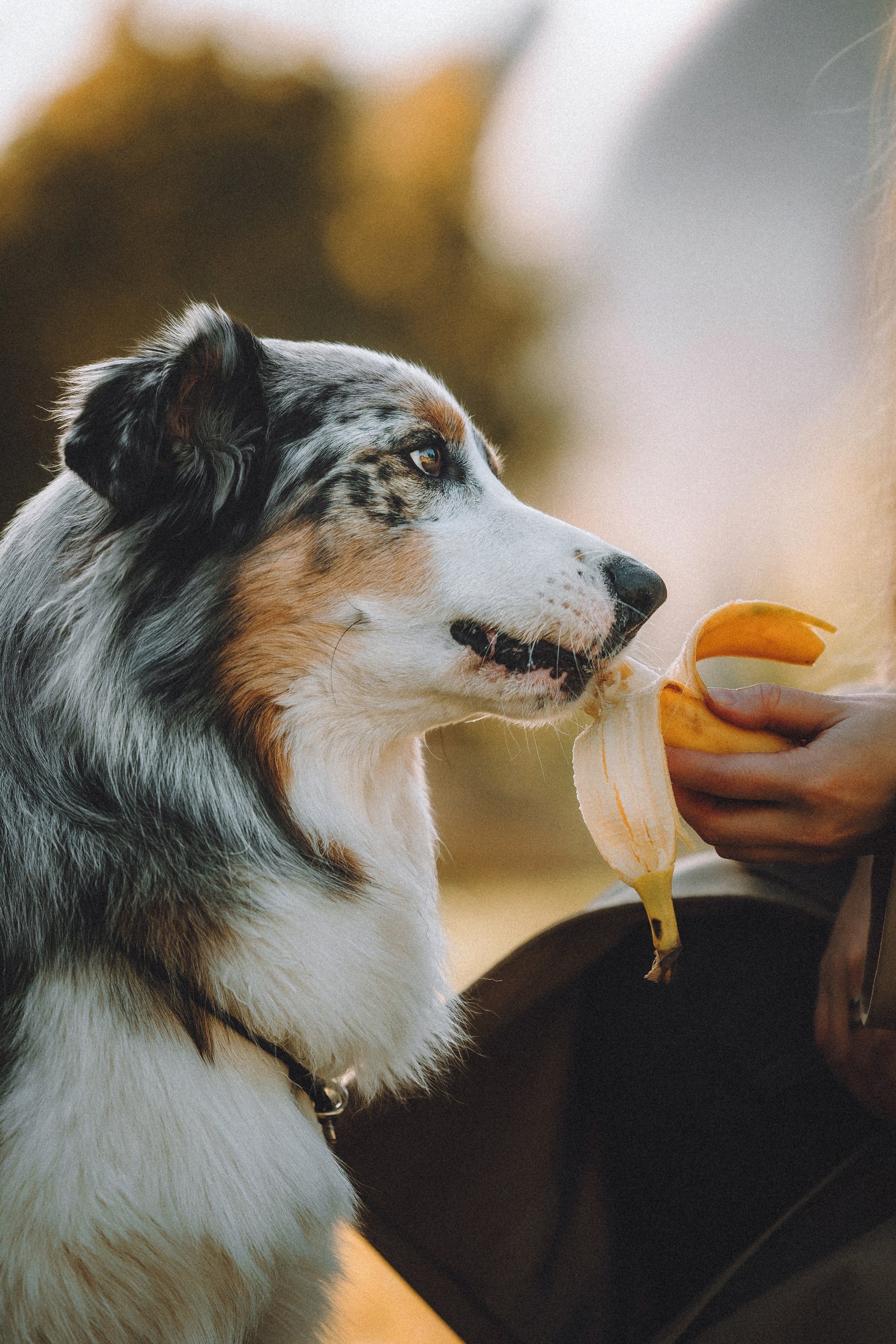 Саша, Рома и Один