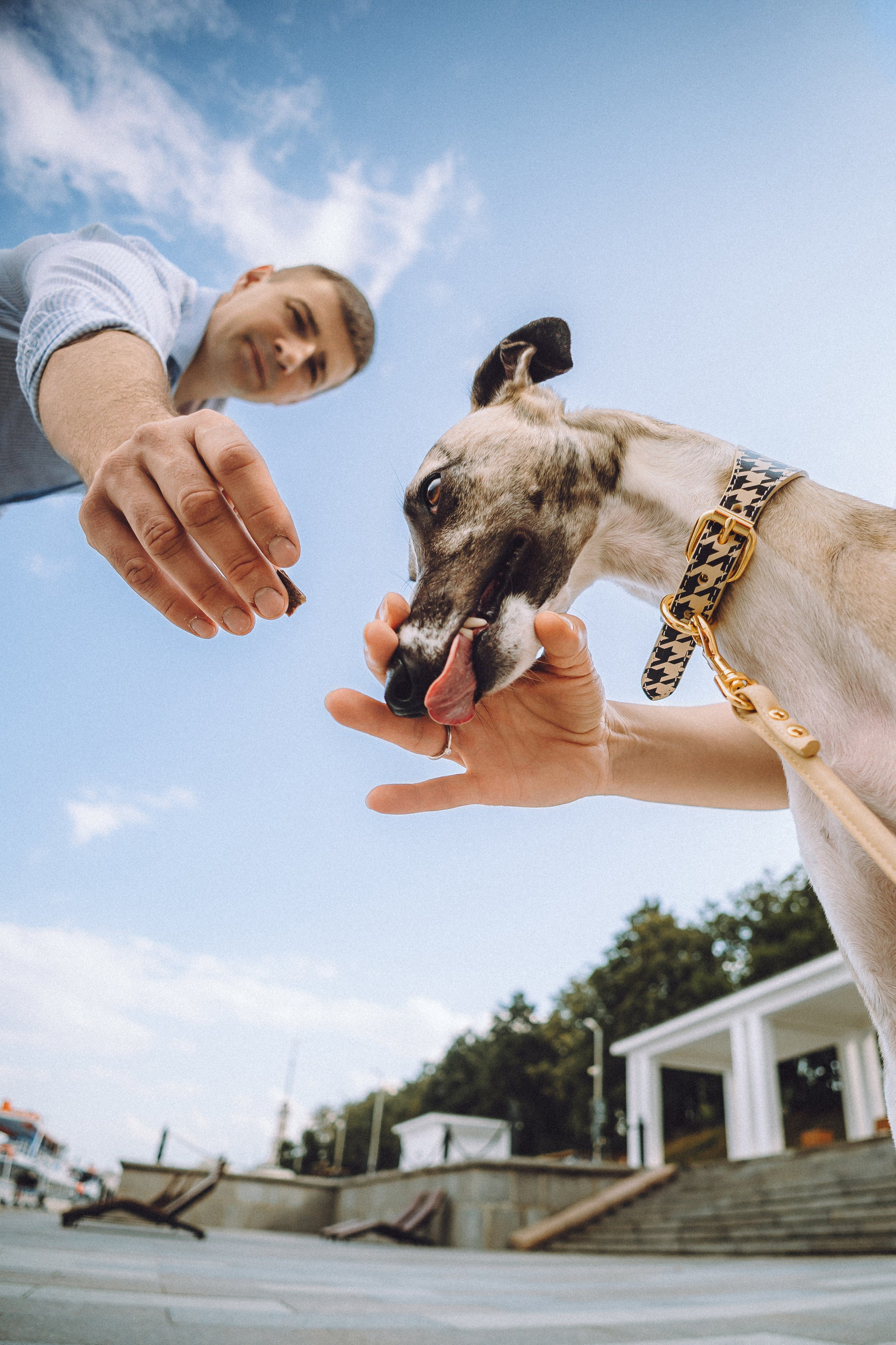 Ирина, Илья и Рик