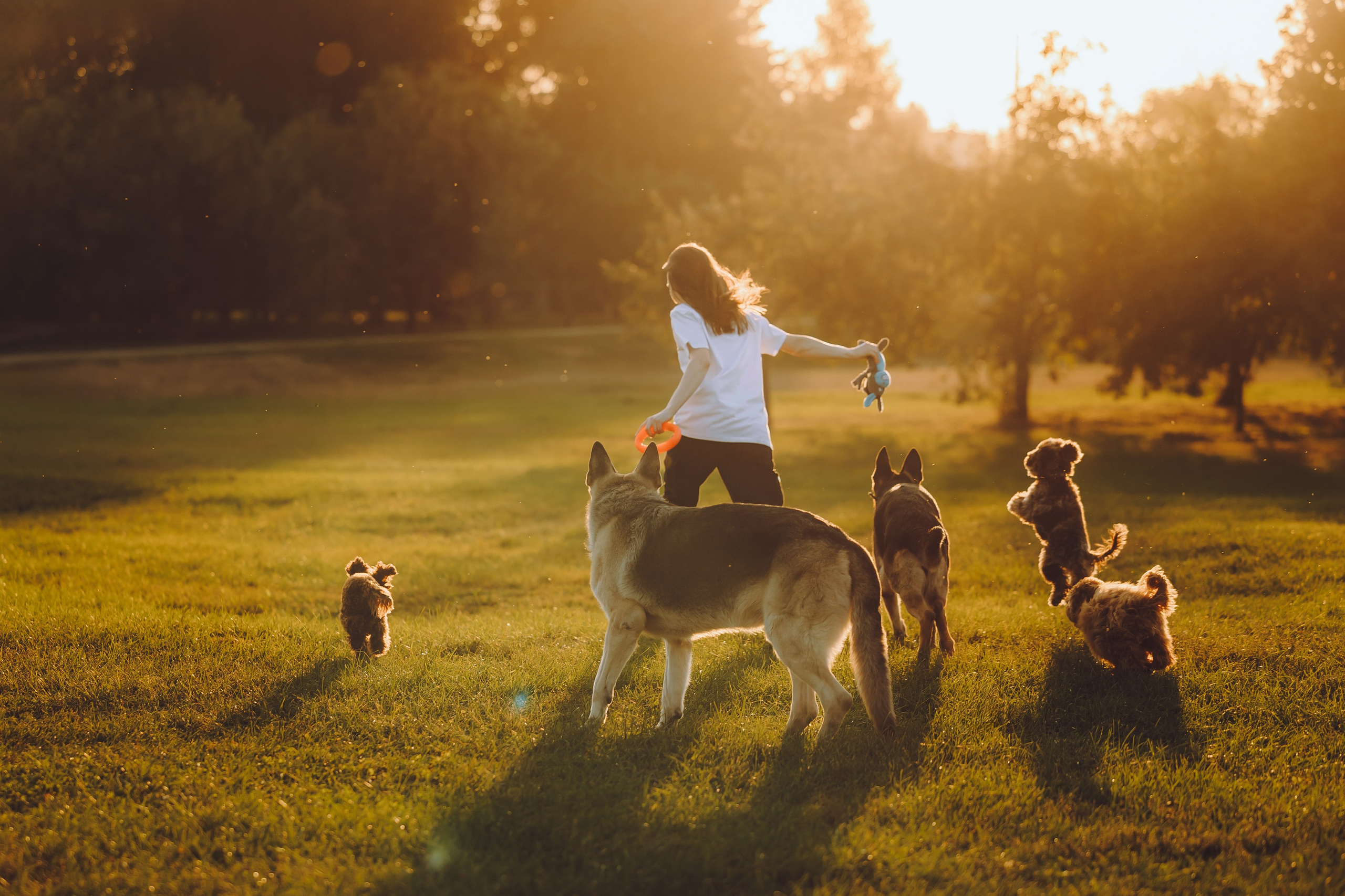 Кристина и все-все