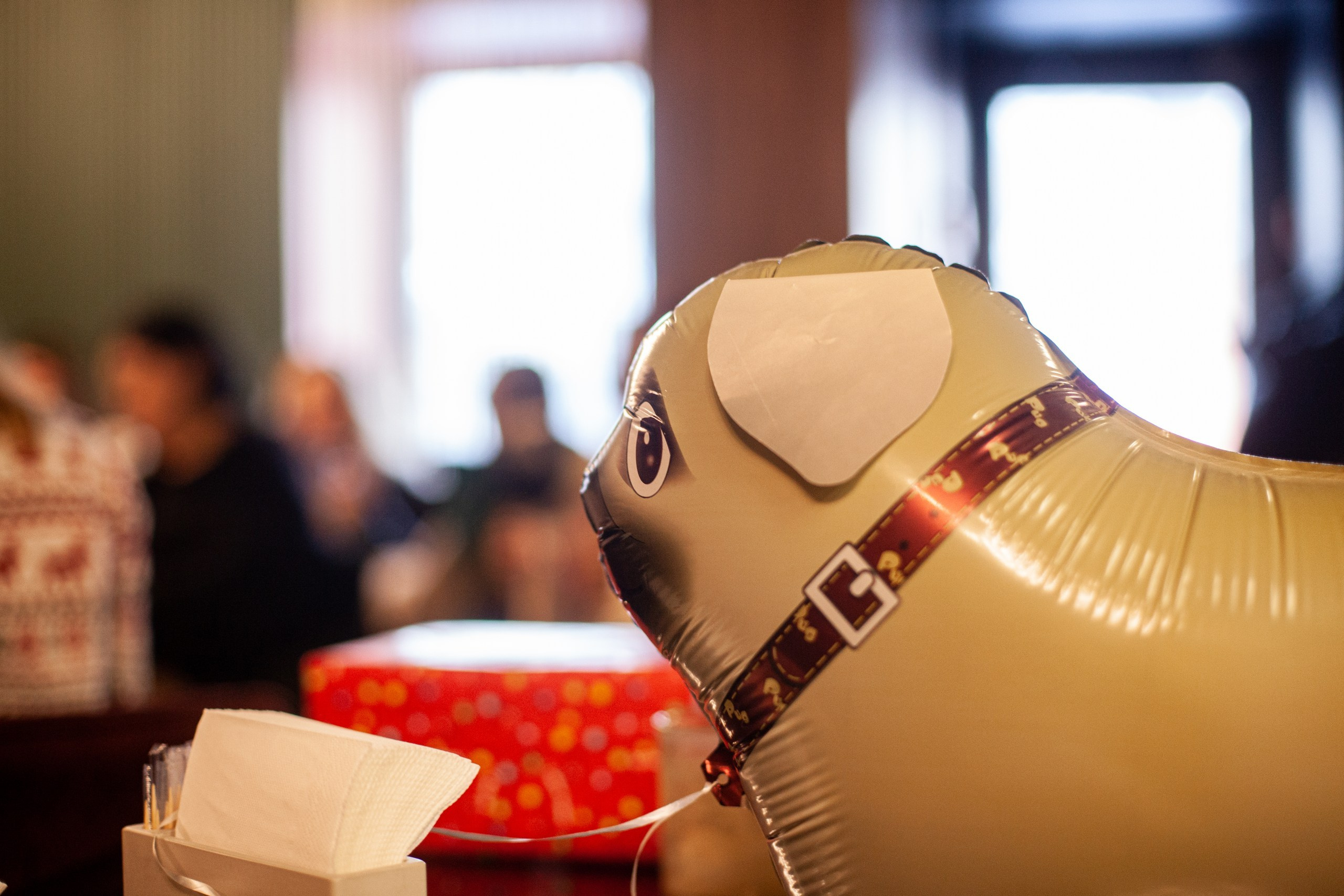 Мопсовстреча 02.12.2023. Фотограф-анималист Татьяна Степанова