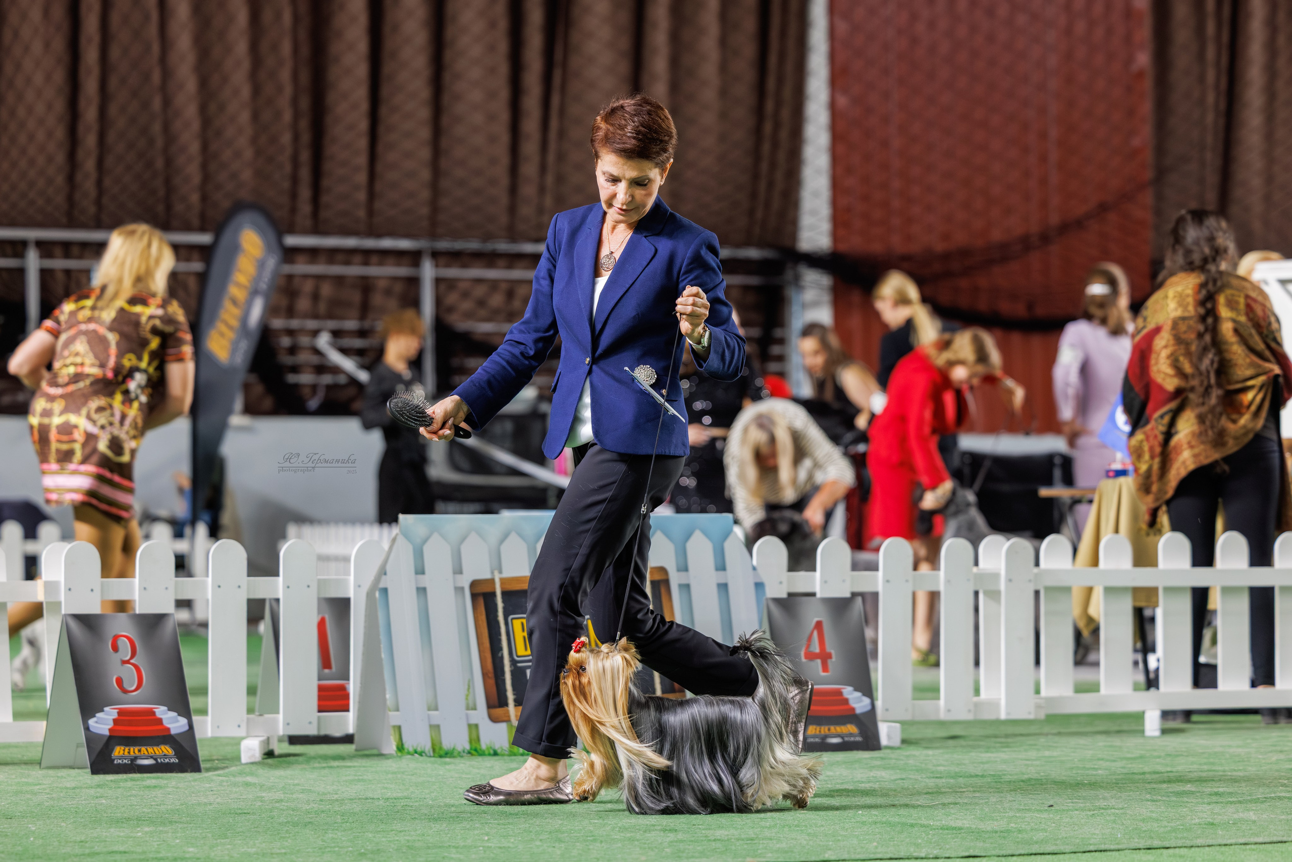 Телави 11-12.10.2025. Фотограф-анималист Юлия Германика