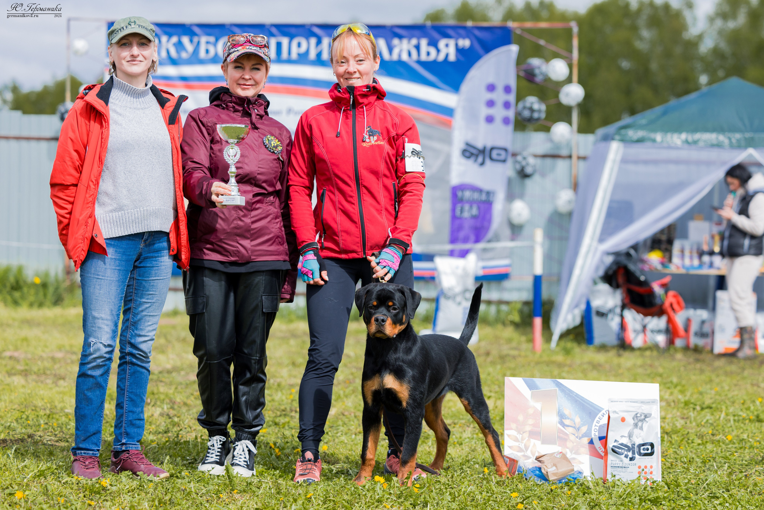 Нижний Новгород 11-12.05.2024 моно ротвейлеров. Фотограф-анималист Юлия Германика