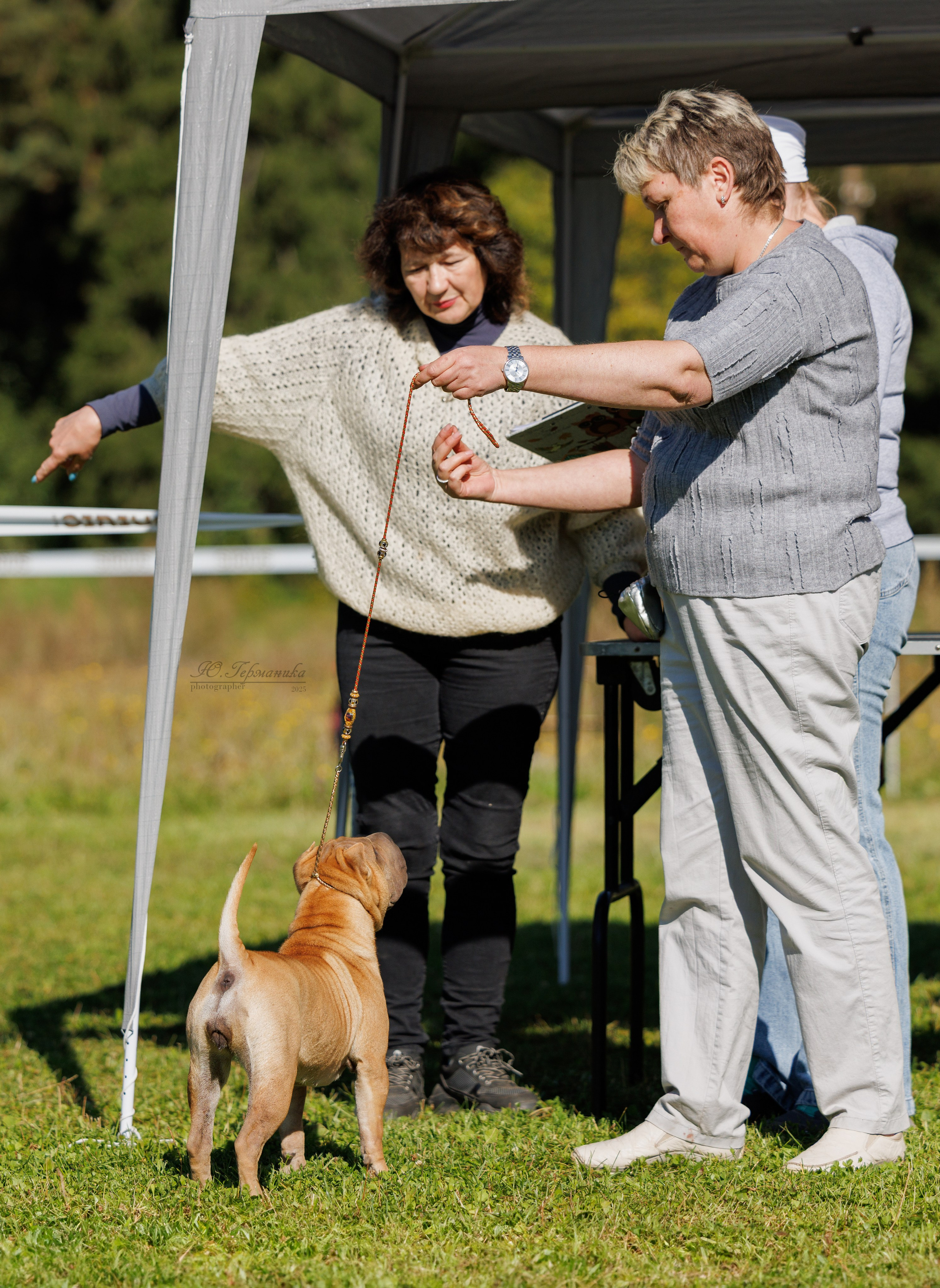 Зеленоград 13.09.2025. Фотограф-анималист Юлия Германика