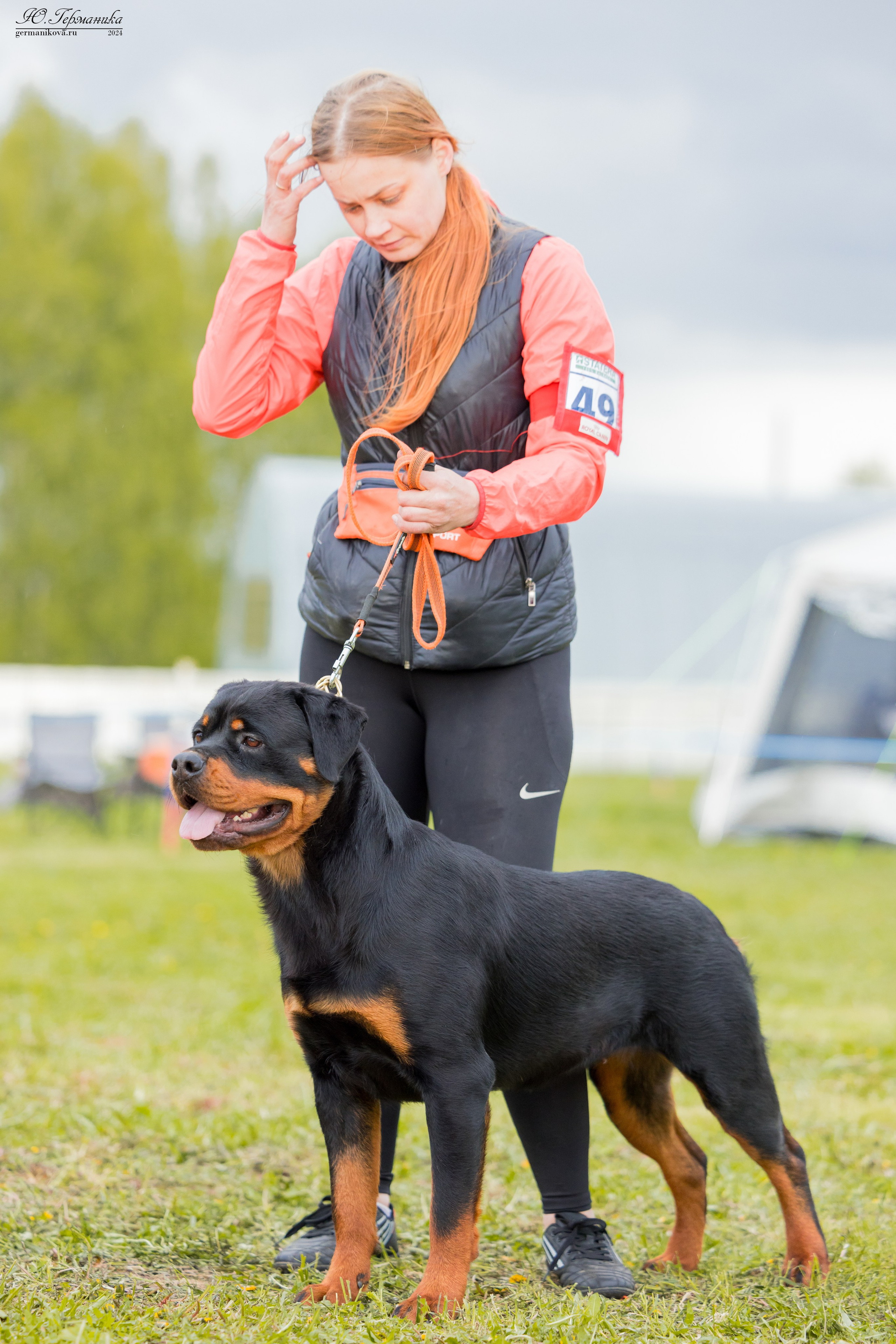 Нижний Новгород 11-12.05.2024 моно ротвейлеров. Фотограф-анималист Юлия Германика