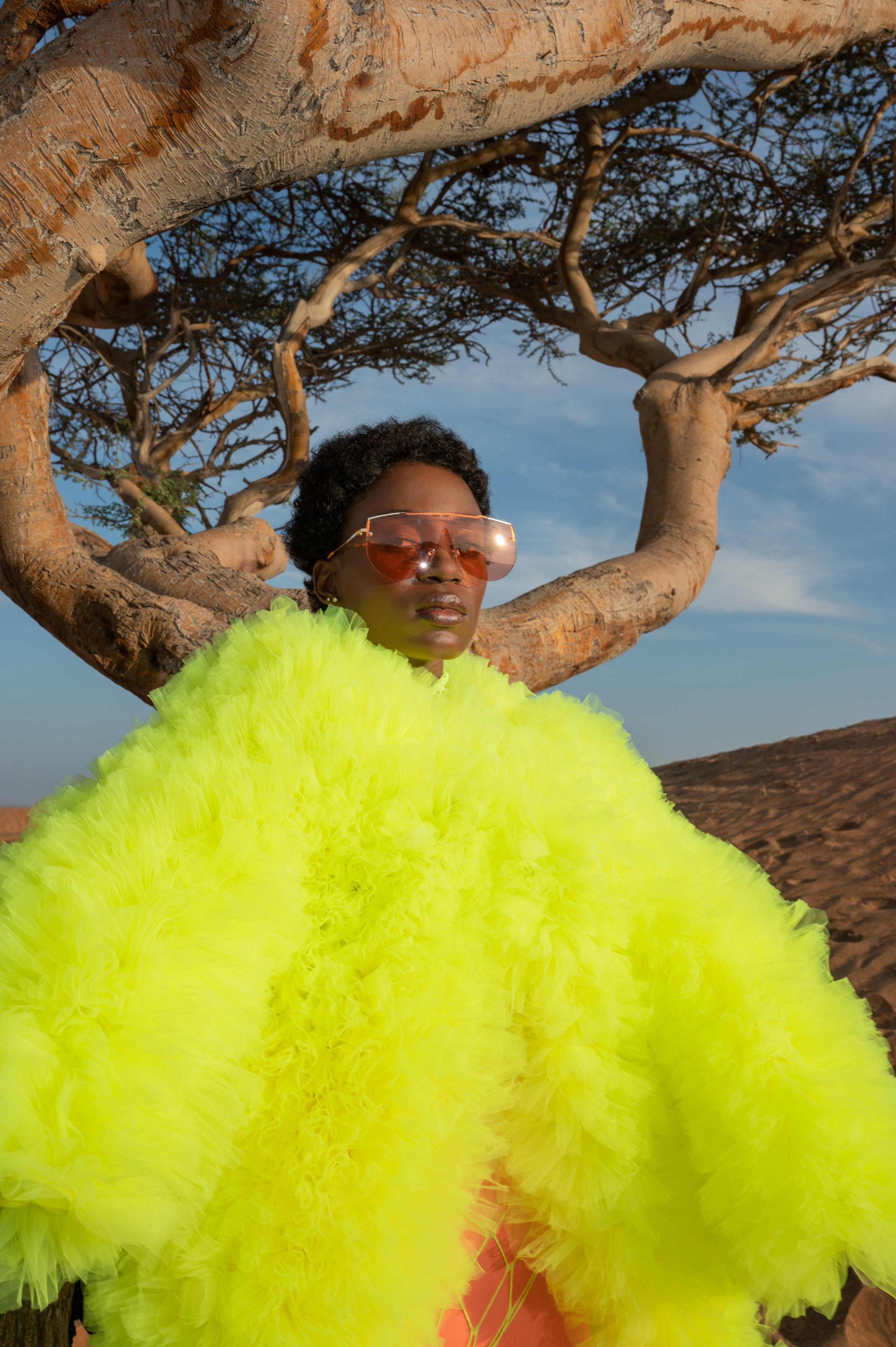 Fairy bird. Коммерческий фотограф Москва /Дубай, эксклюзивные фэшн фотосессии