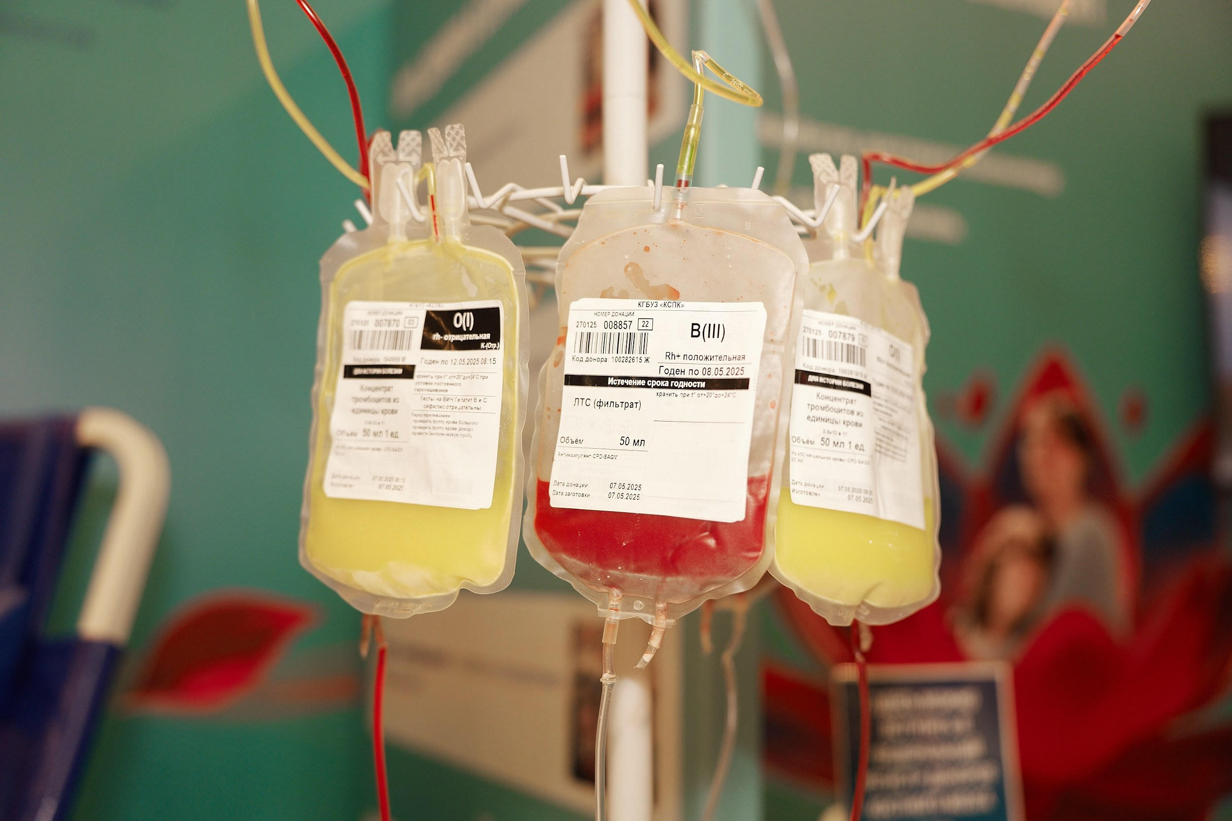 СЕРОССИЙСКИЙ ФОРУМ ПО ДОНОРСТВУ КРОВИ И КОСТНОГО МОЗГА. ФОТОГРАФ НА МЕРОПРИЯТИЕ ОТ СОЛЬ МЕДИА PRODUCTION