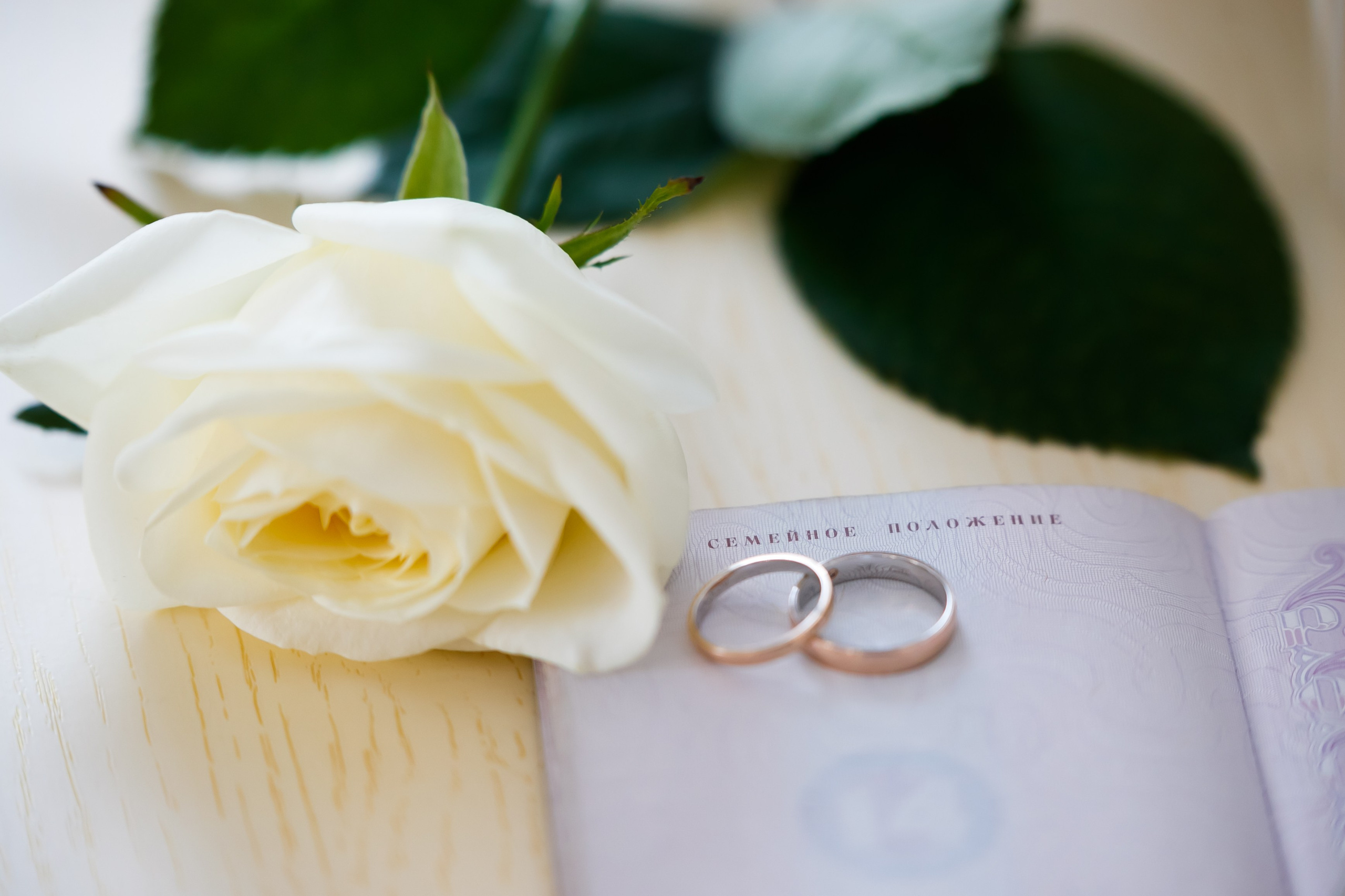 Дима и Ксения. Фотограф Кирилл Брага