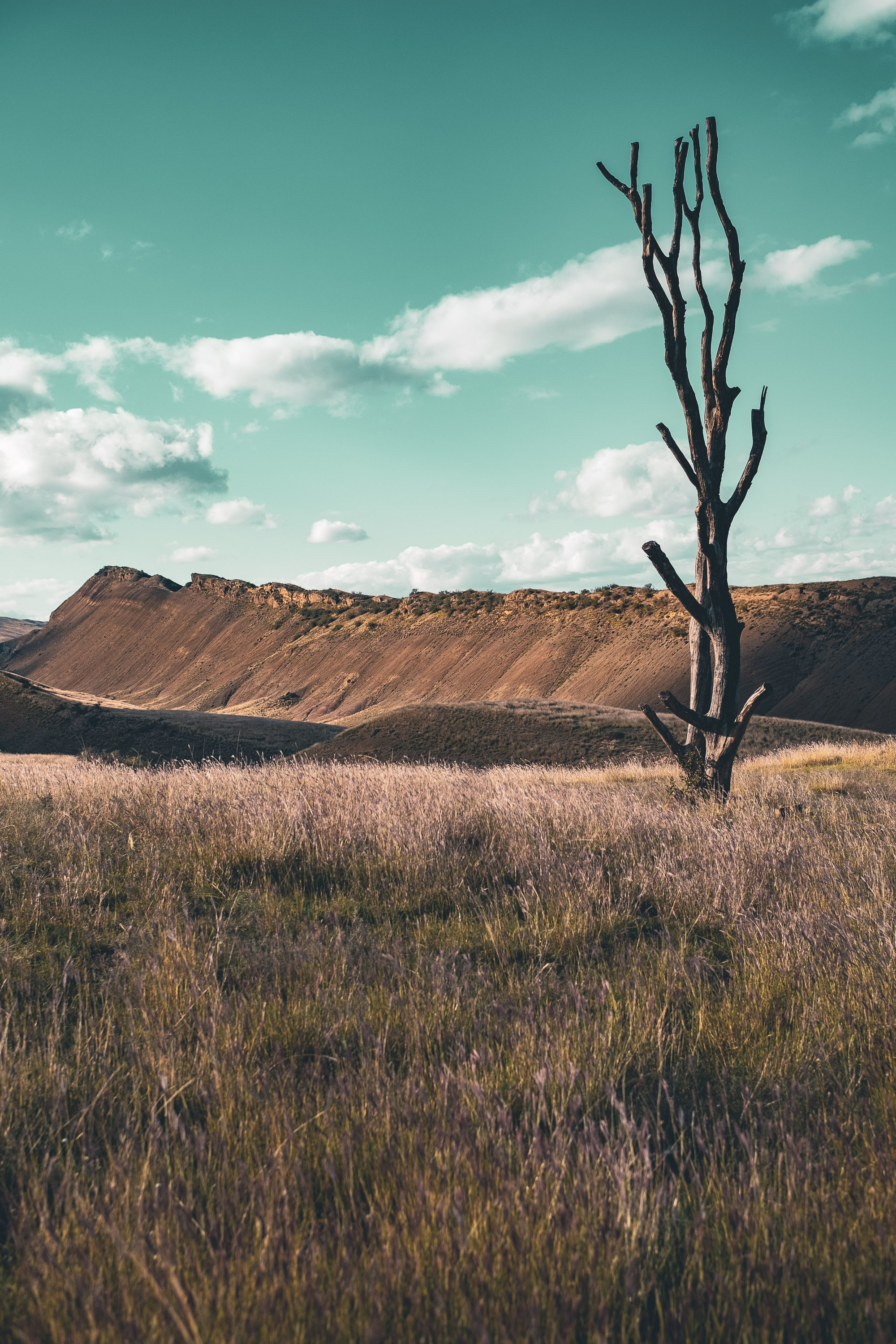 Georgia travel. Photographer in Tbilisi