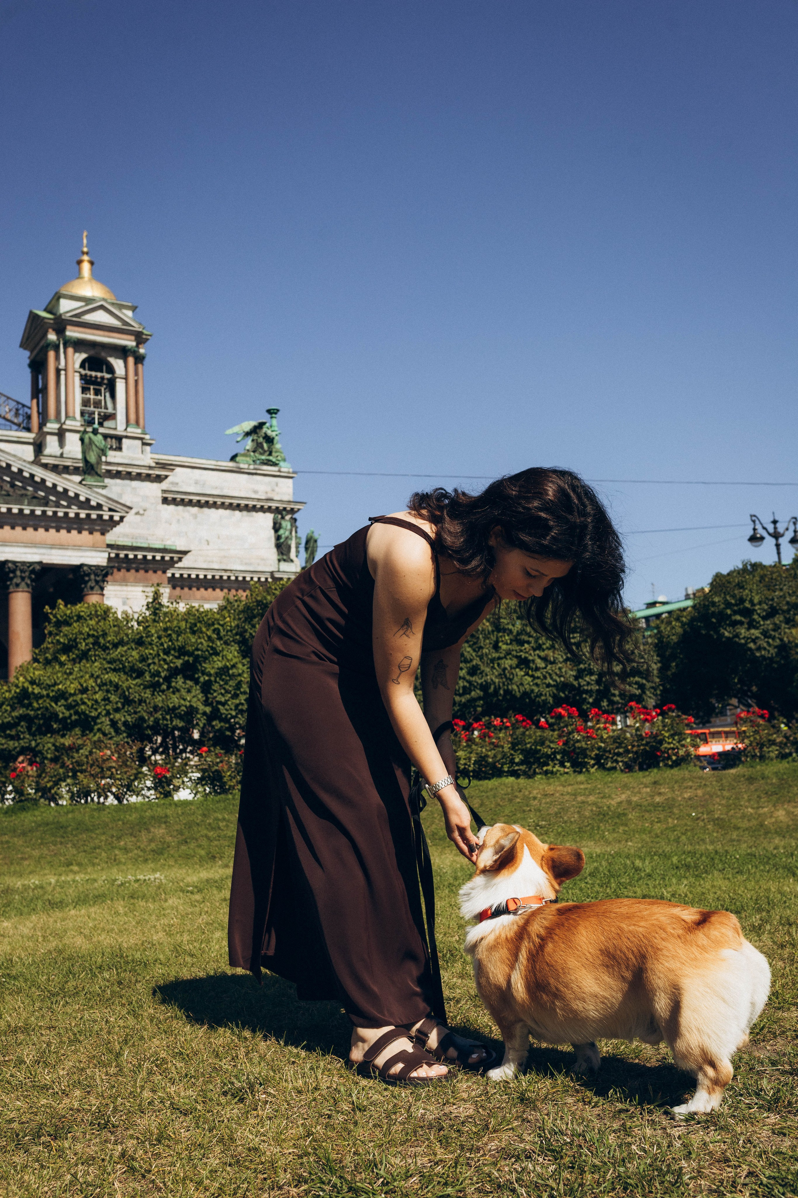 Фотосессия с собакой. Фотограф в Санкт-Петербурге Полина