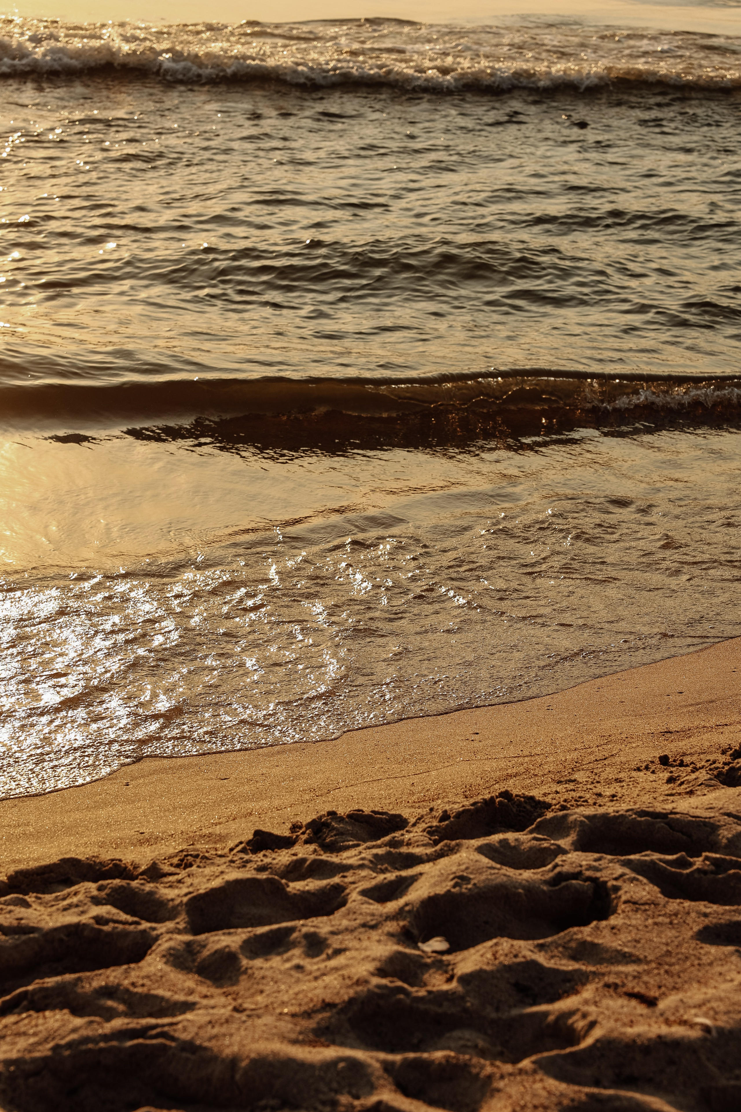 Камерная свадьба на берегу моря. Свадебный фотограф