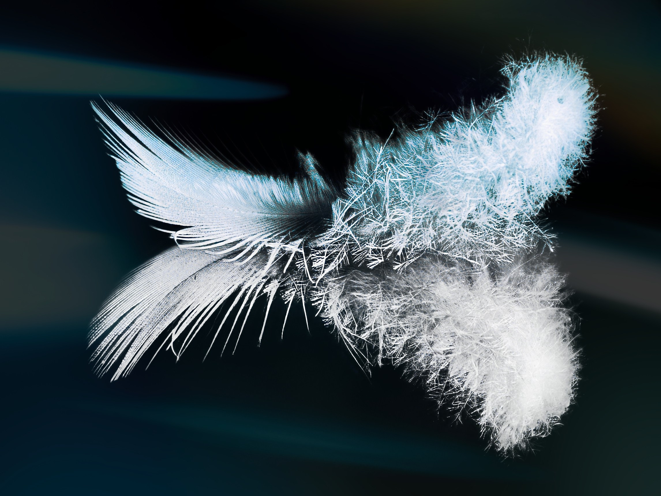 АРТ. Фотограф Денис Кривопусков