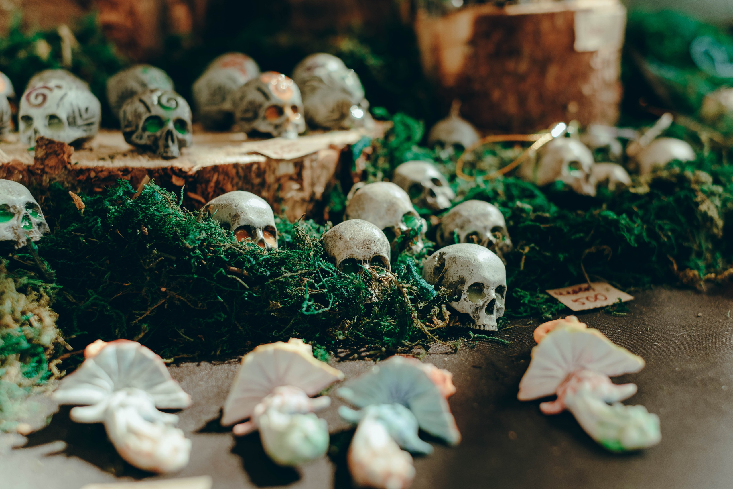 Бессонница 2025. Фотограф Аннё| Москва