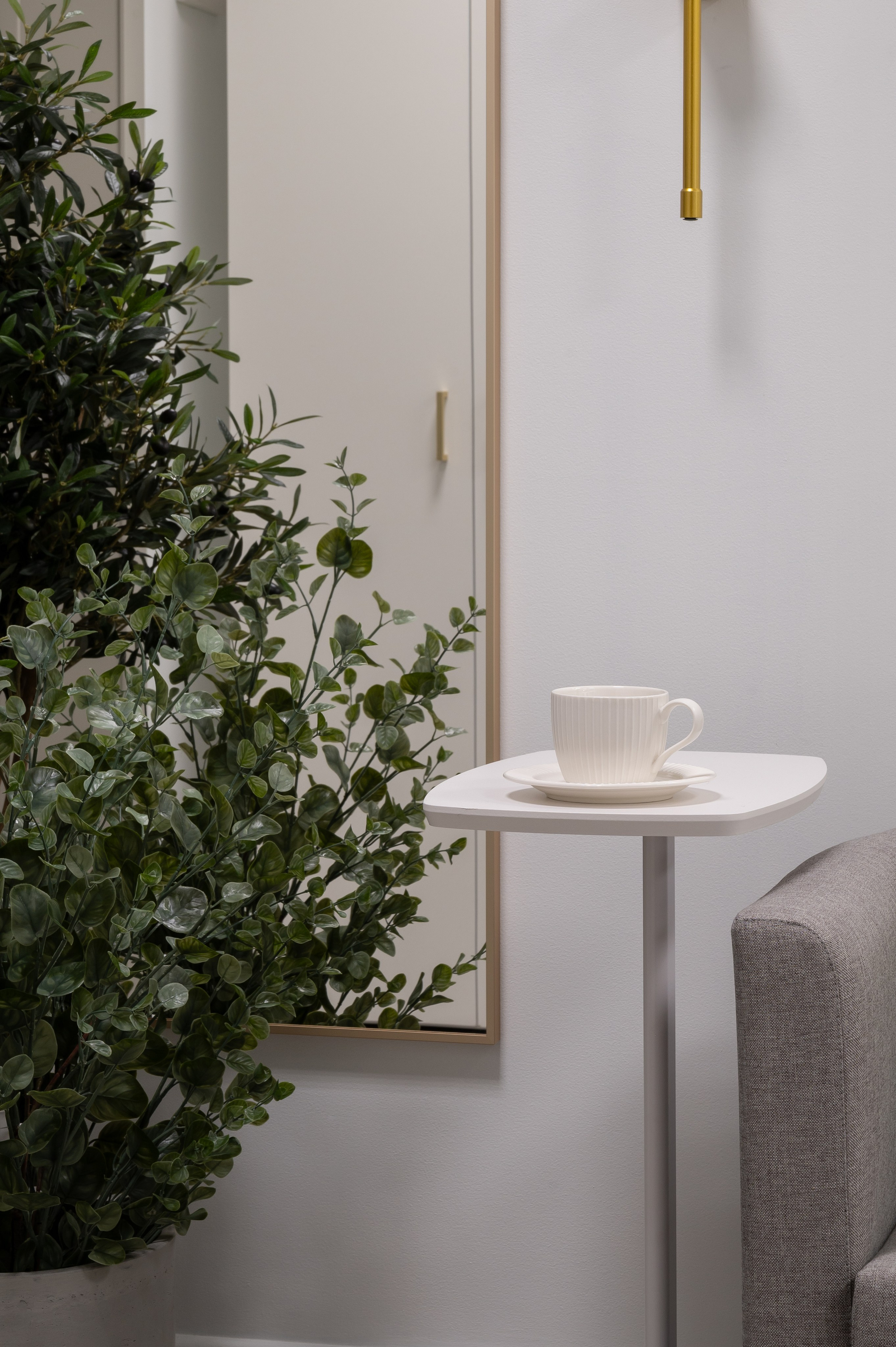 Студия лазерной эпиляции CACTUS. Интерьерный фотограф в Сочи Элина Габриелян