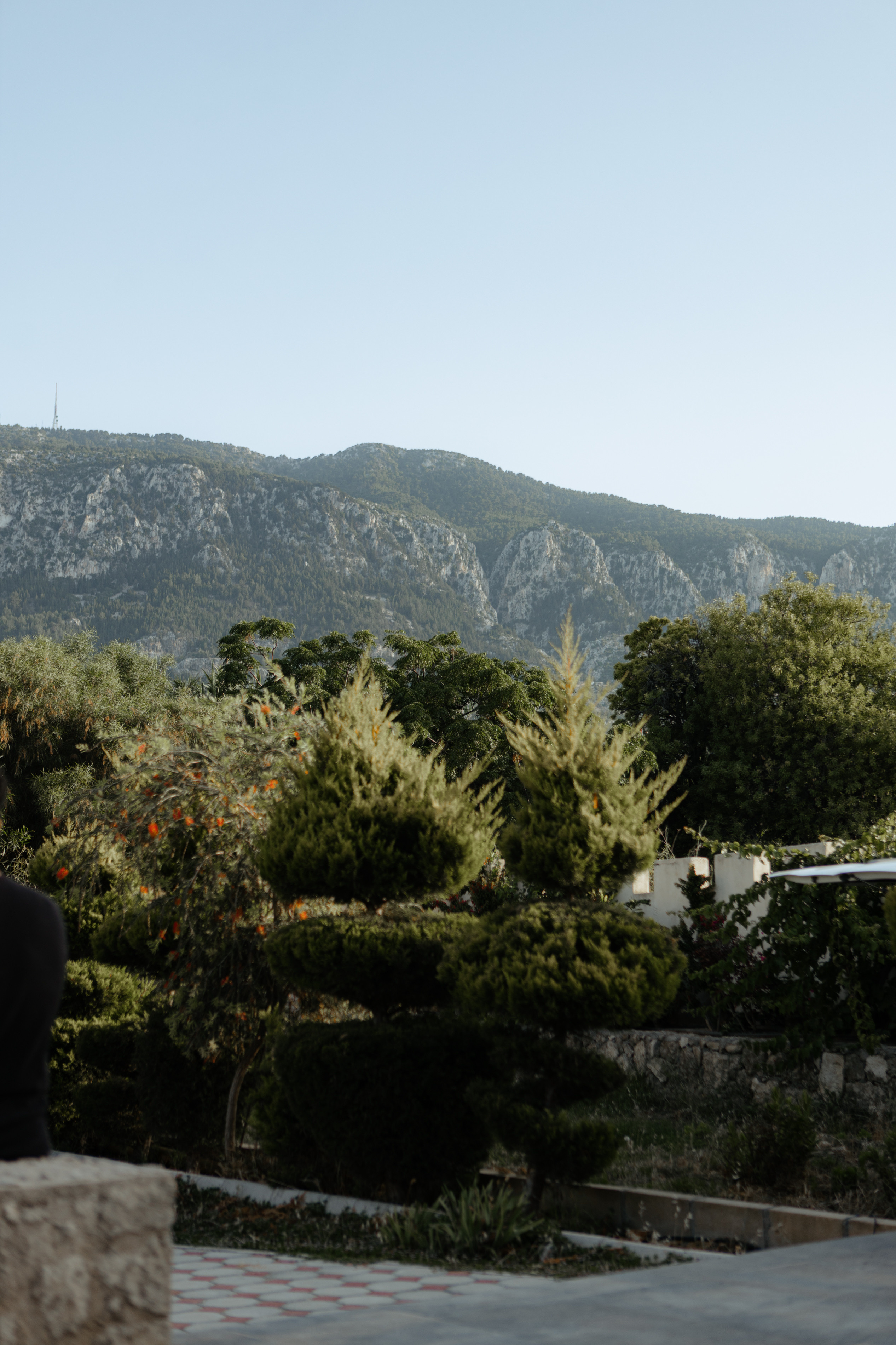 E&Y. Фотограф в Батуми Павел Шарников