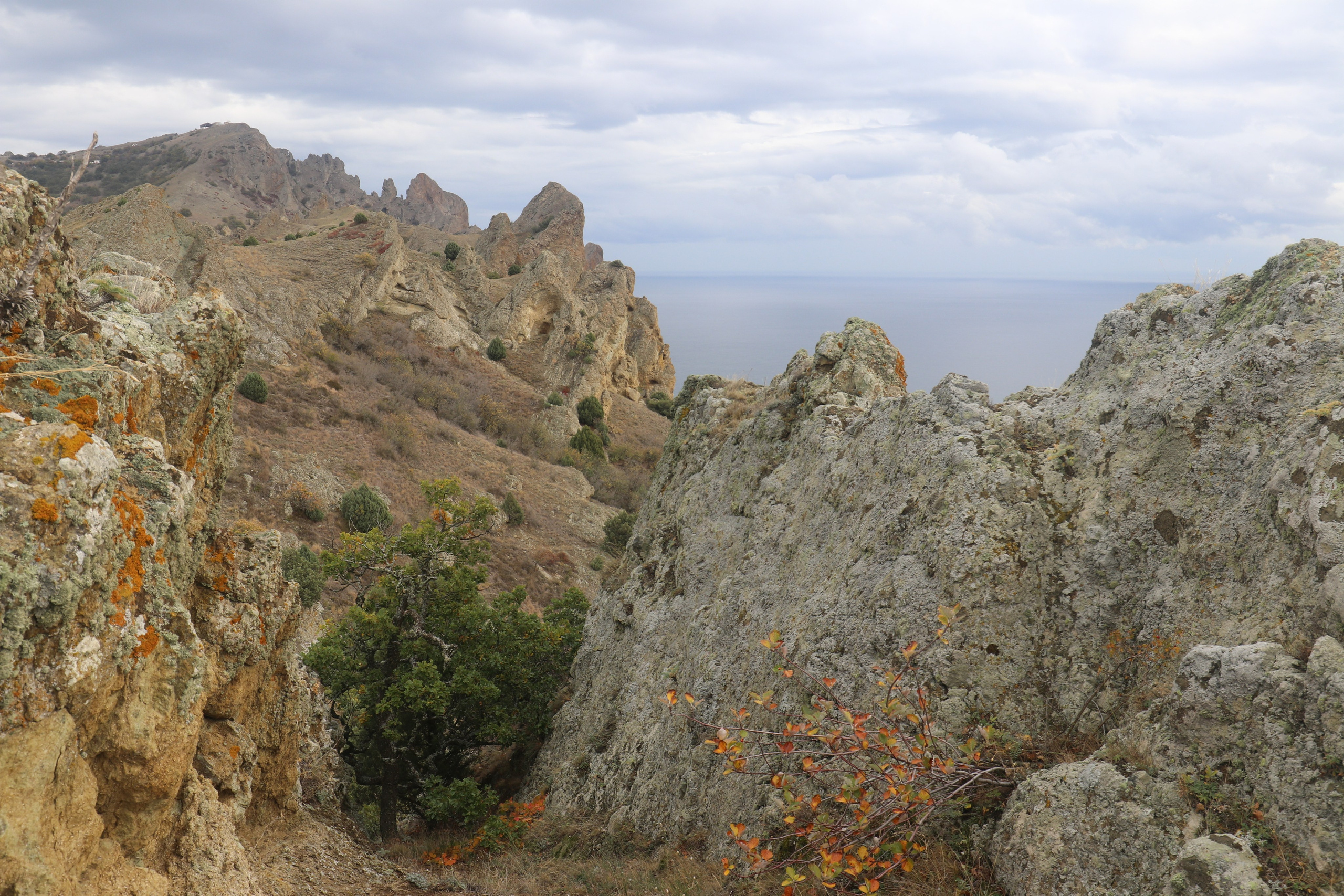 Крым. ЮБК (Судак, Карадаг). Ноябрь 2020. Путешественник-фотограф из Санкт-Петербурга Татьяна Свистулина