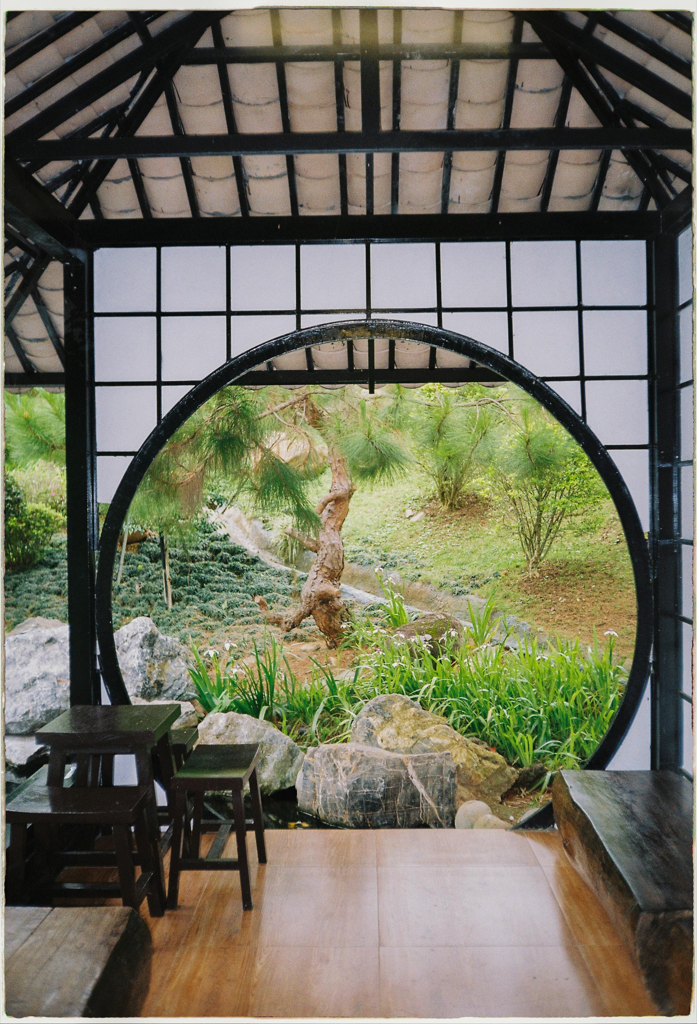 Que garden. Film Photographer in Da Nang, Vietnam — Tanya Parfenteva