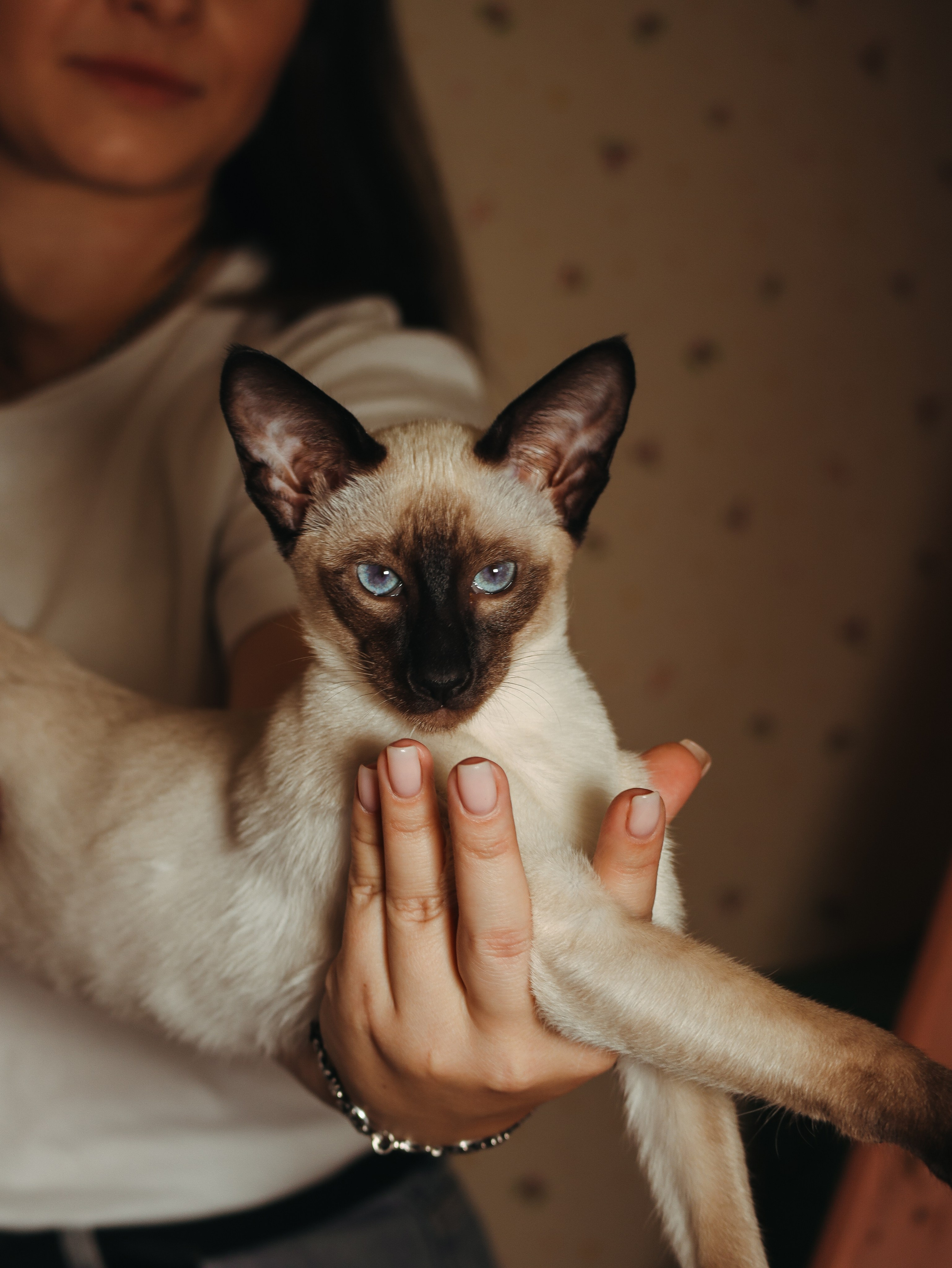 Питомцы. Кинематографичный фотограф, видеограф Лина Плешакова, Санкт-Петербург