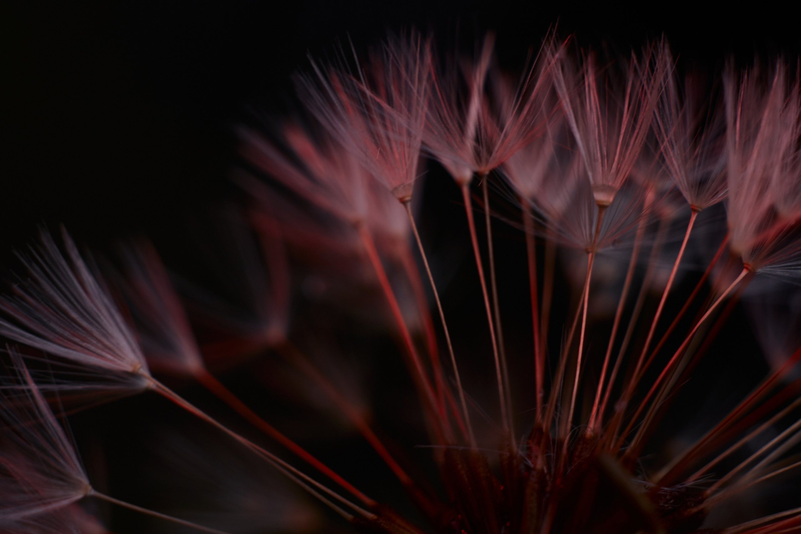 Art пейзаж. Фотограф Анастасия Федорова  Санкт-Петербург