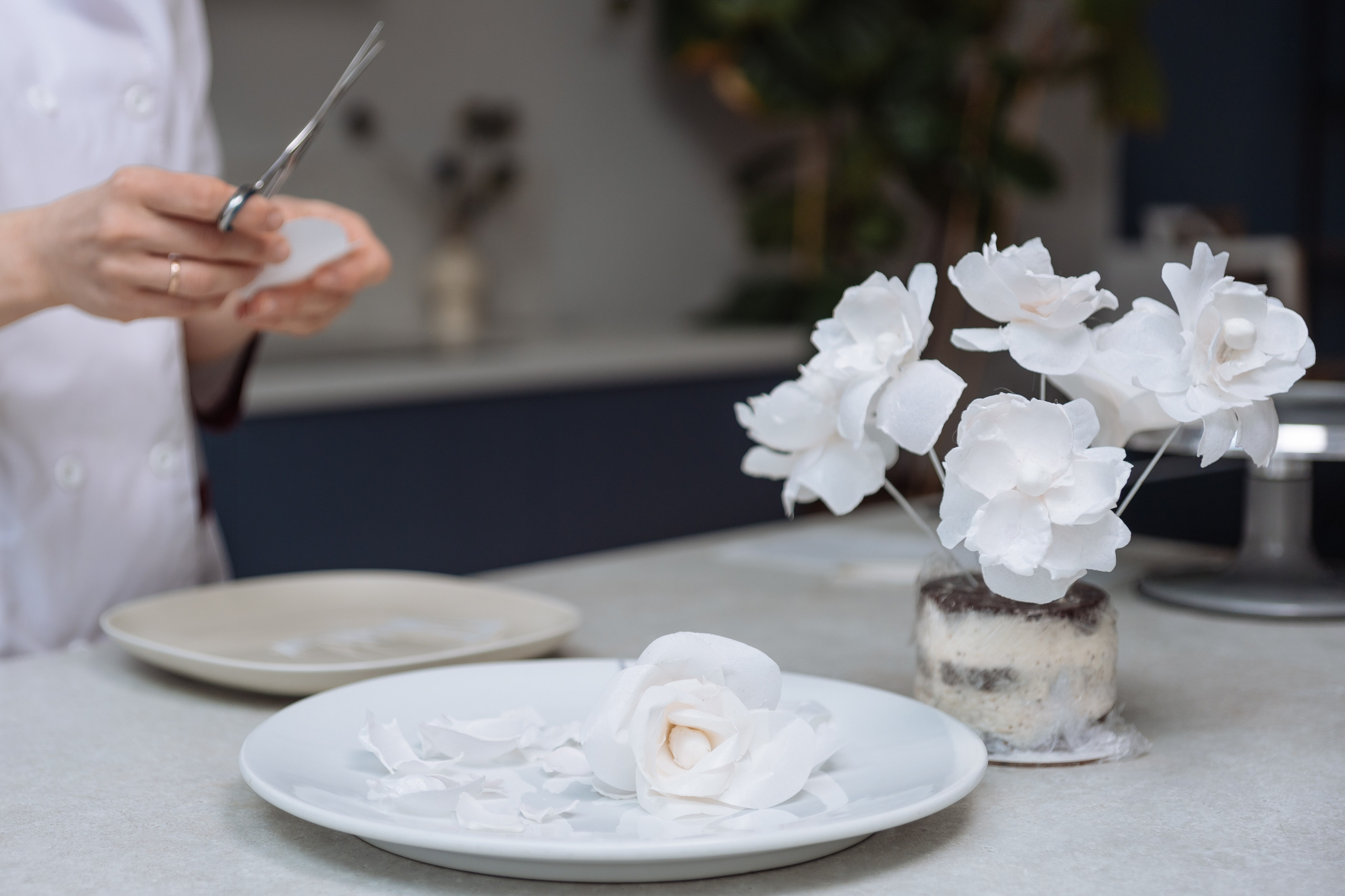 Бизнес-портрет. Марина — кондитер. Главная