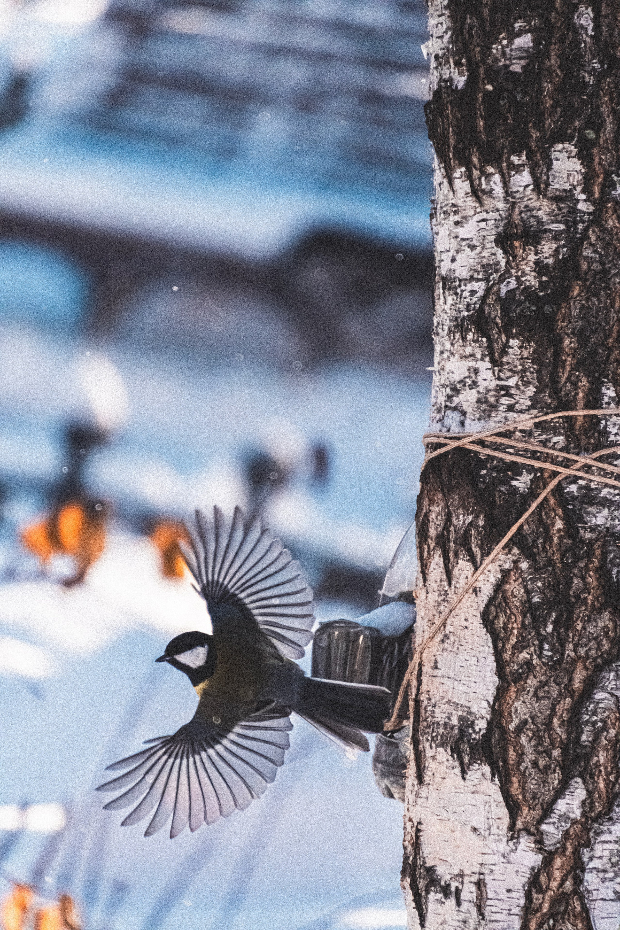 M. Neizvestniy — уличная и спортивная фотография