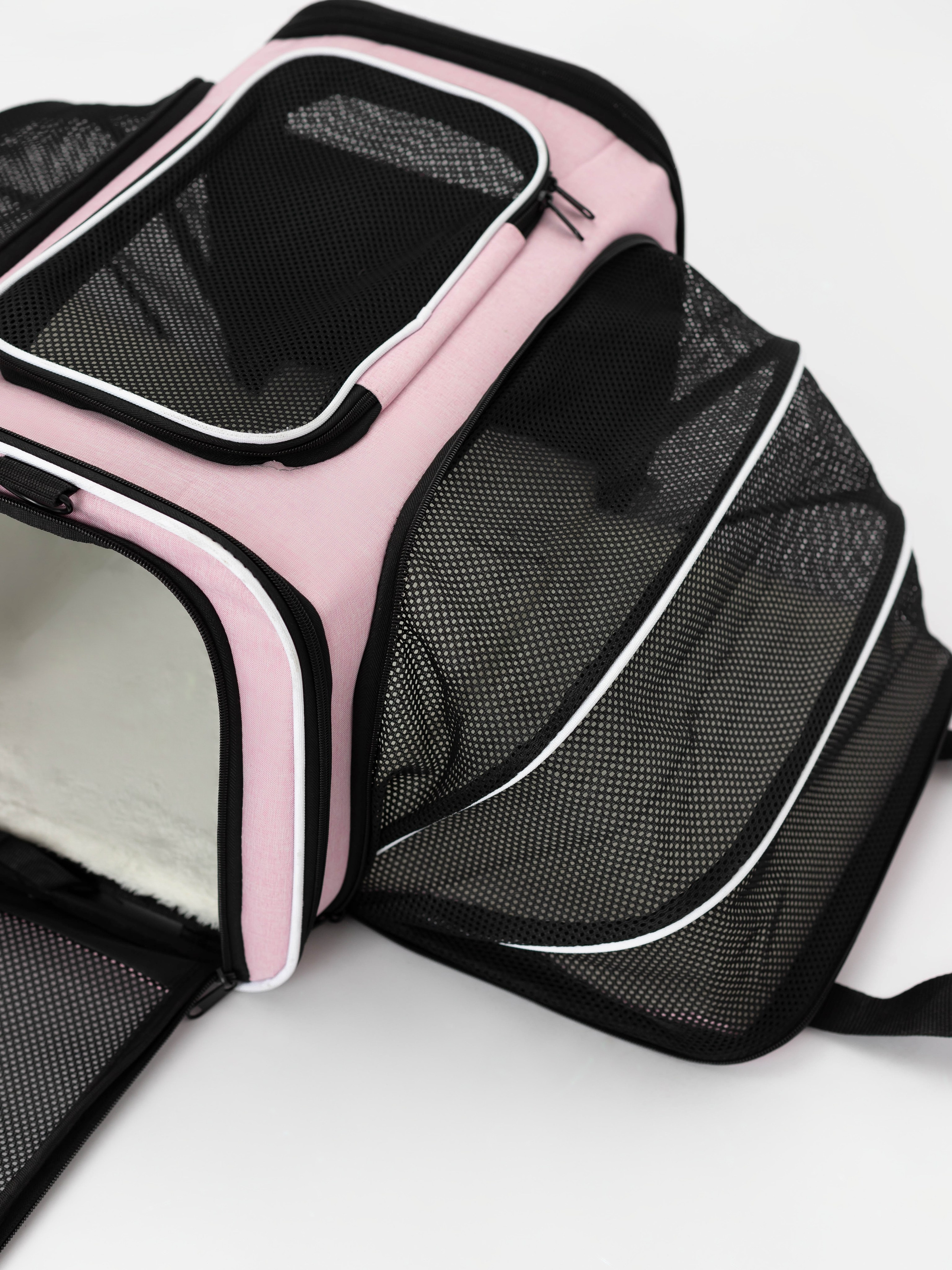 Переноска для питомца. Коммерческий фотограф в Санкт-Петербурге (СПб) Екатерина Панчёха, Панчёшка