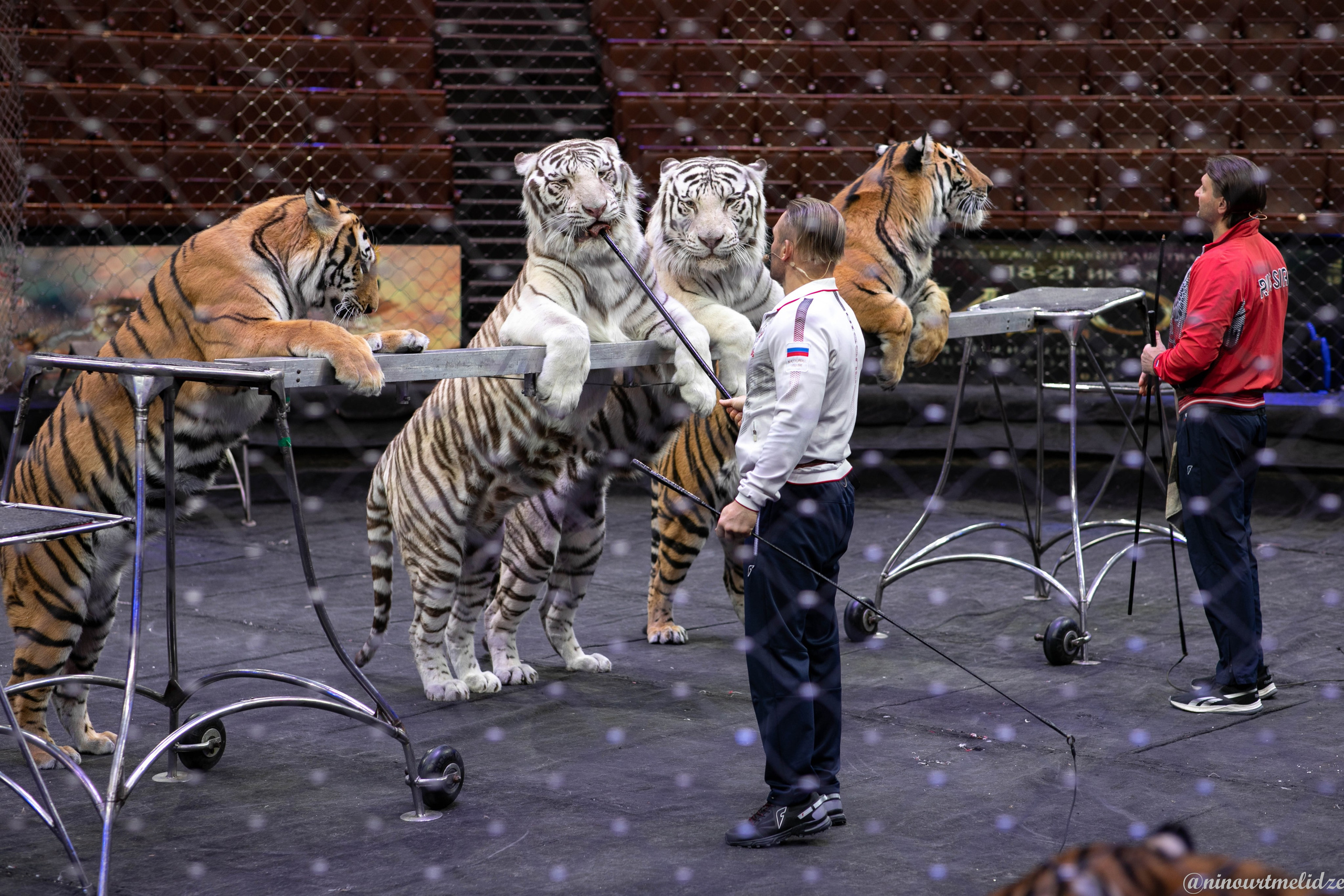 В закулисье у братьев Запашных. Art photographer Nino