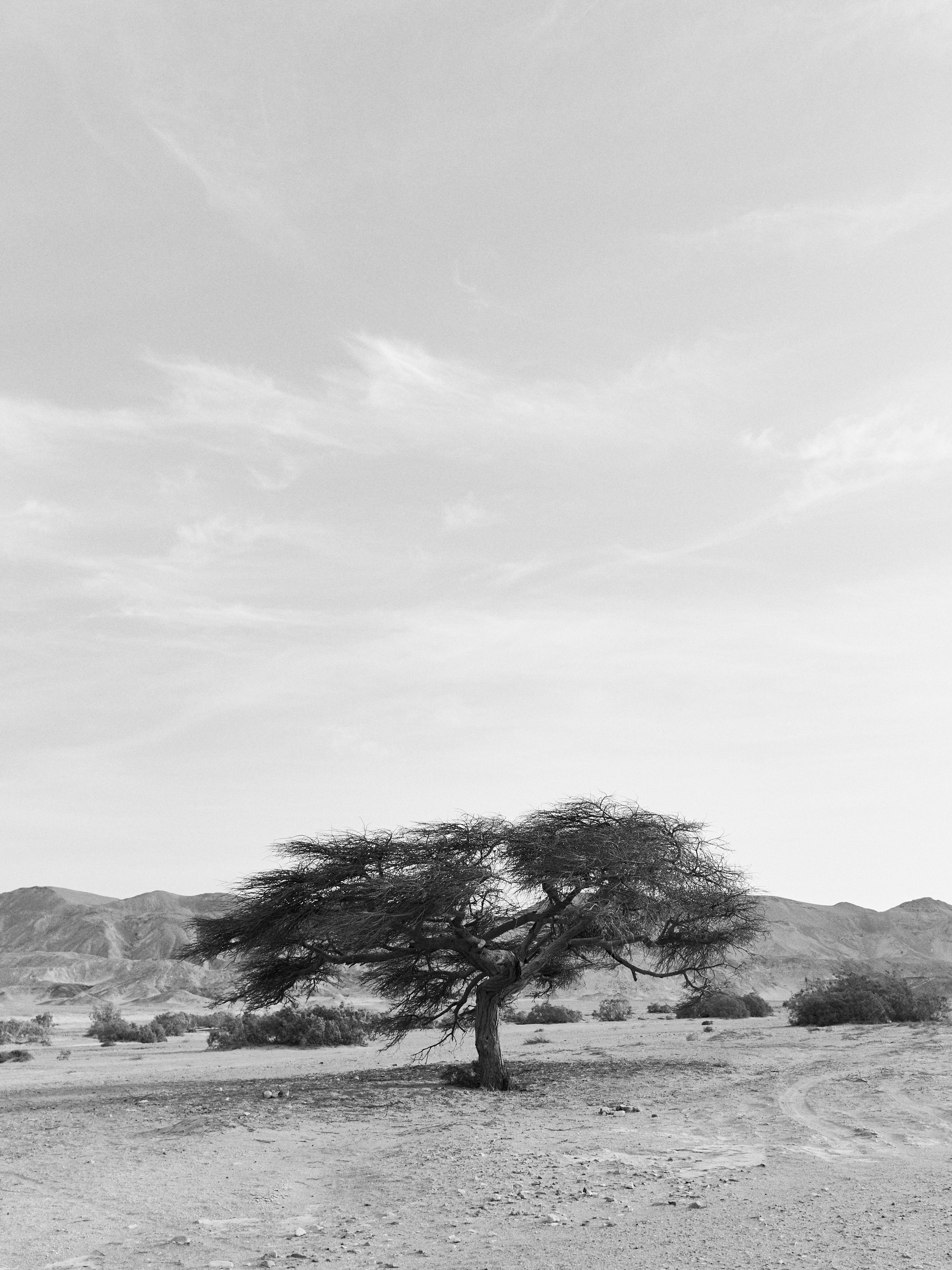 B&W. Jorgis — фотограф в Хургаде / обучение фотографии