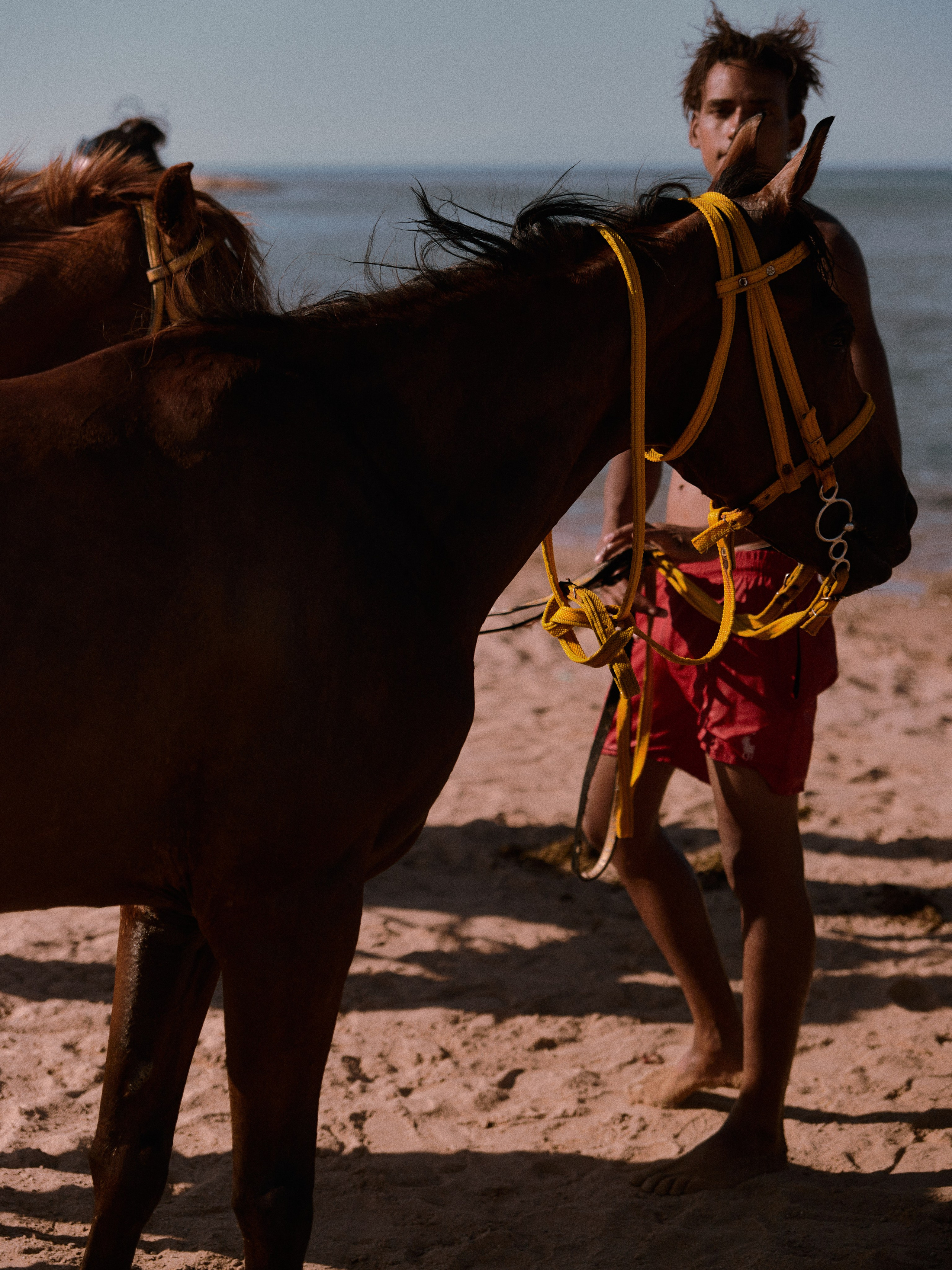 Другое 2. Jorgis Talè — photographer, kind person, teacher of arts and other mag