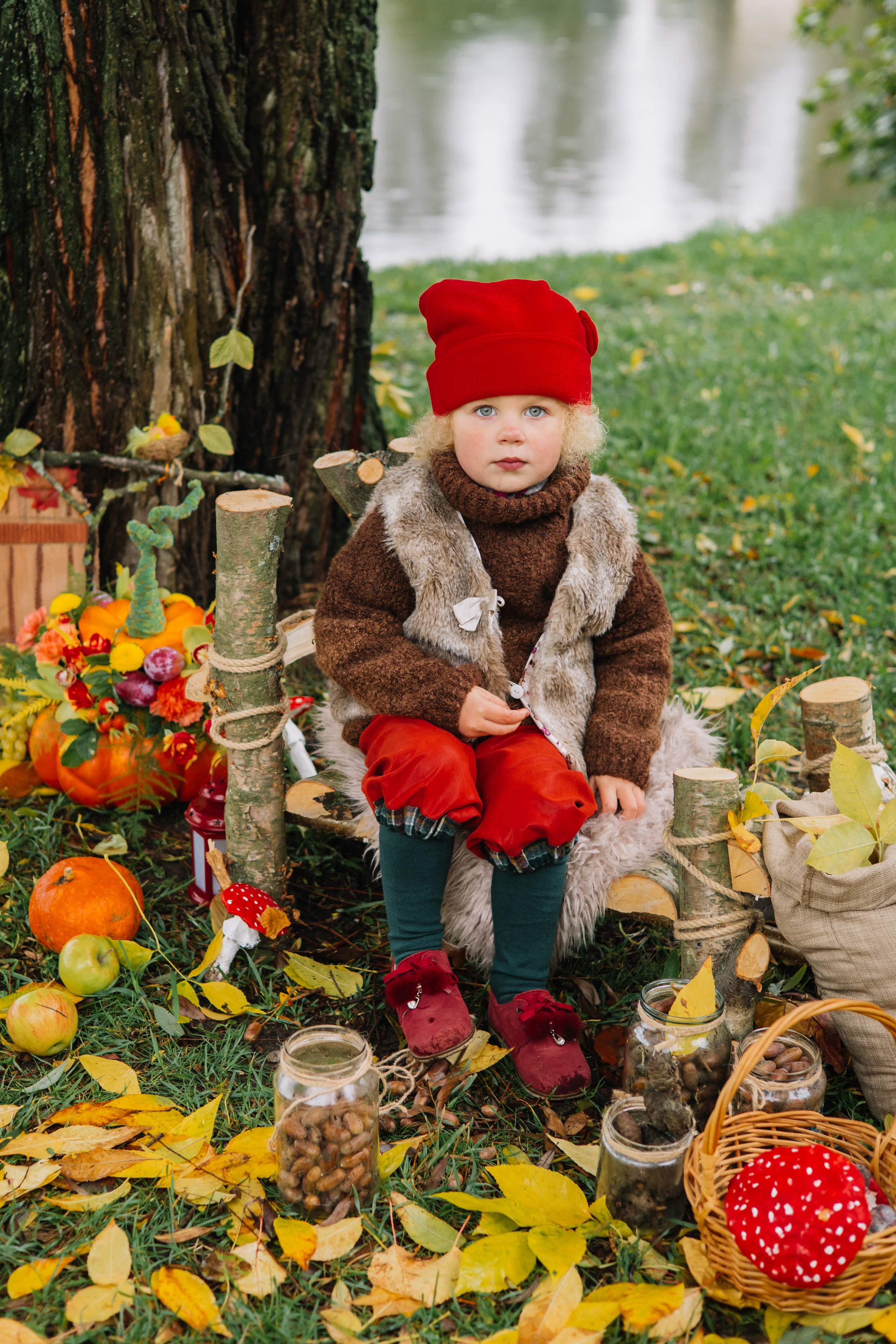 Гномики. Фотография с любовью от Людмилы Луценко